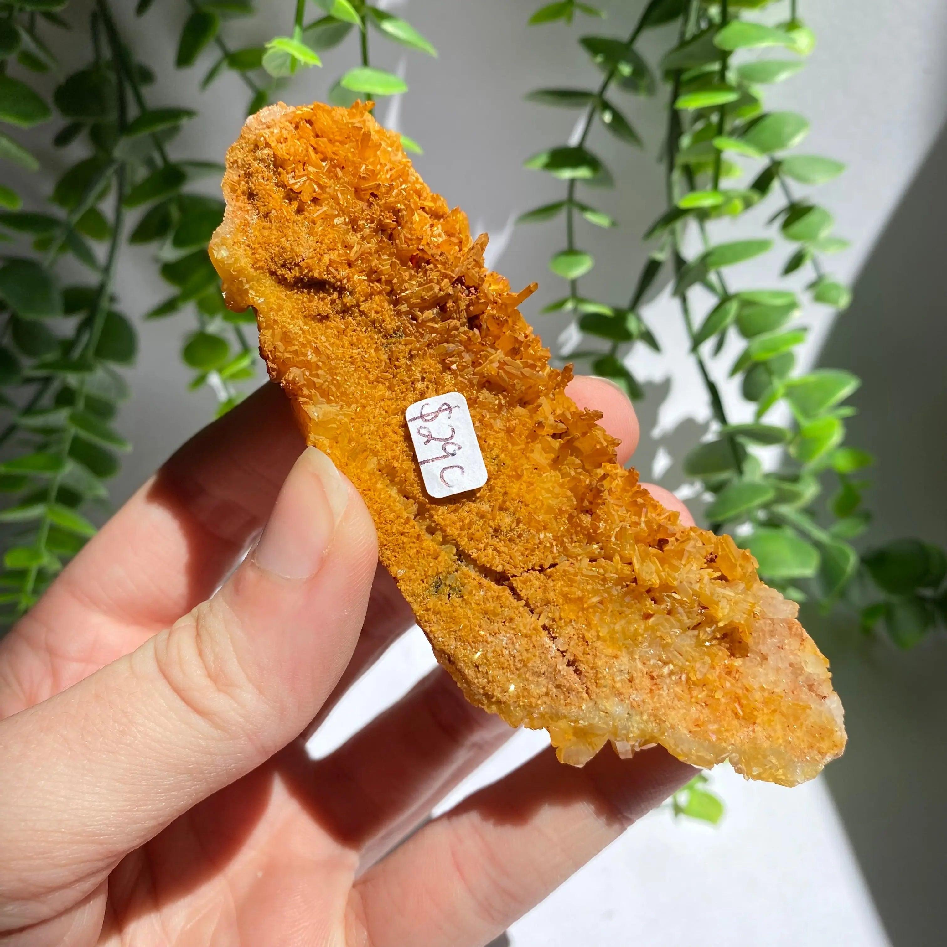 Golden Healer Cluster Arabella Crystals
