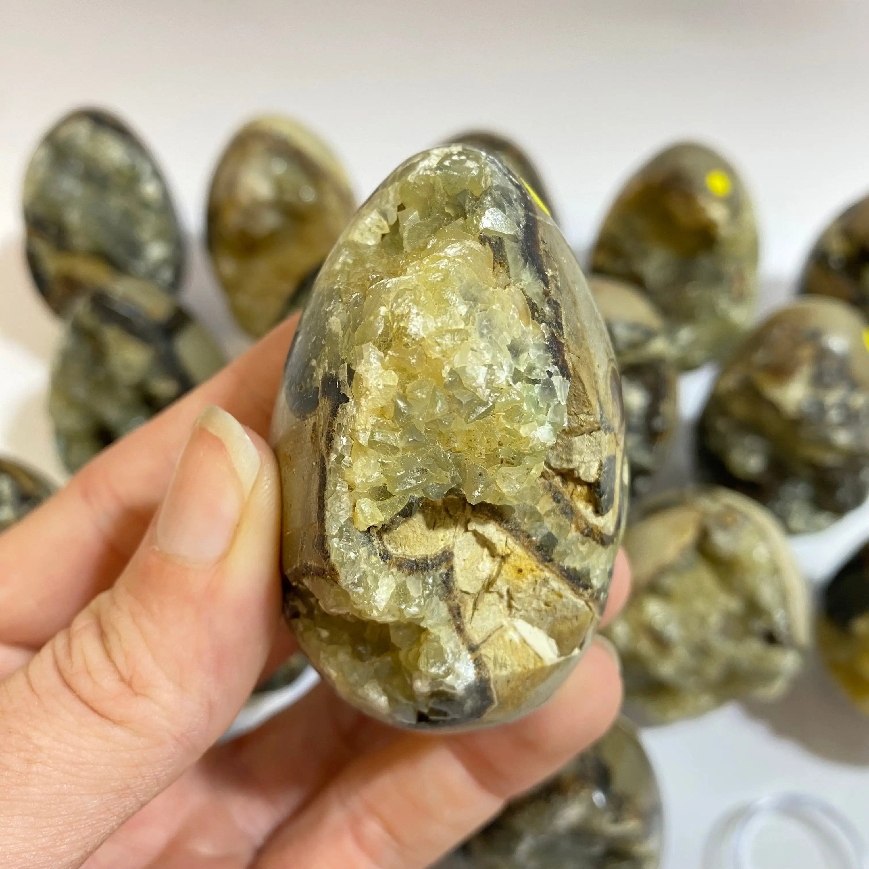 Septarian Agate Egg Arabella Crystals
