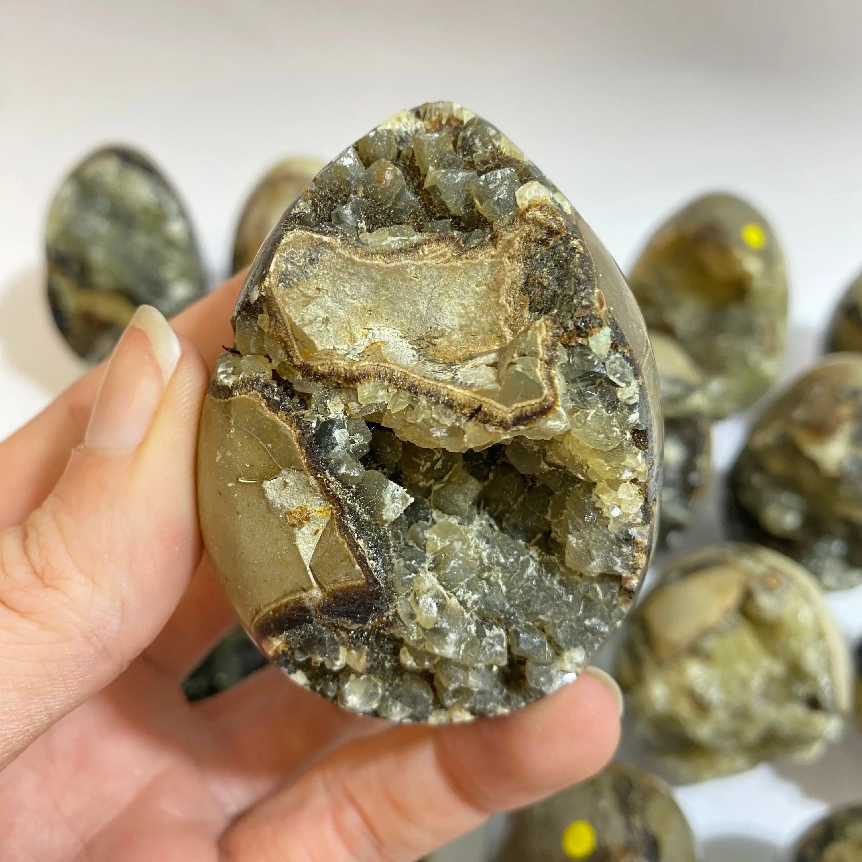 Septarian Agate Egg Arabella Crystals