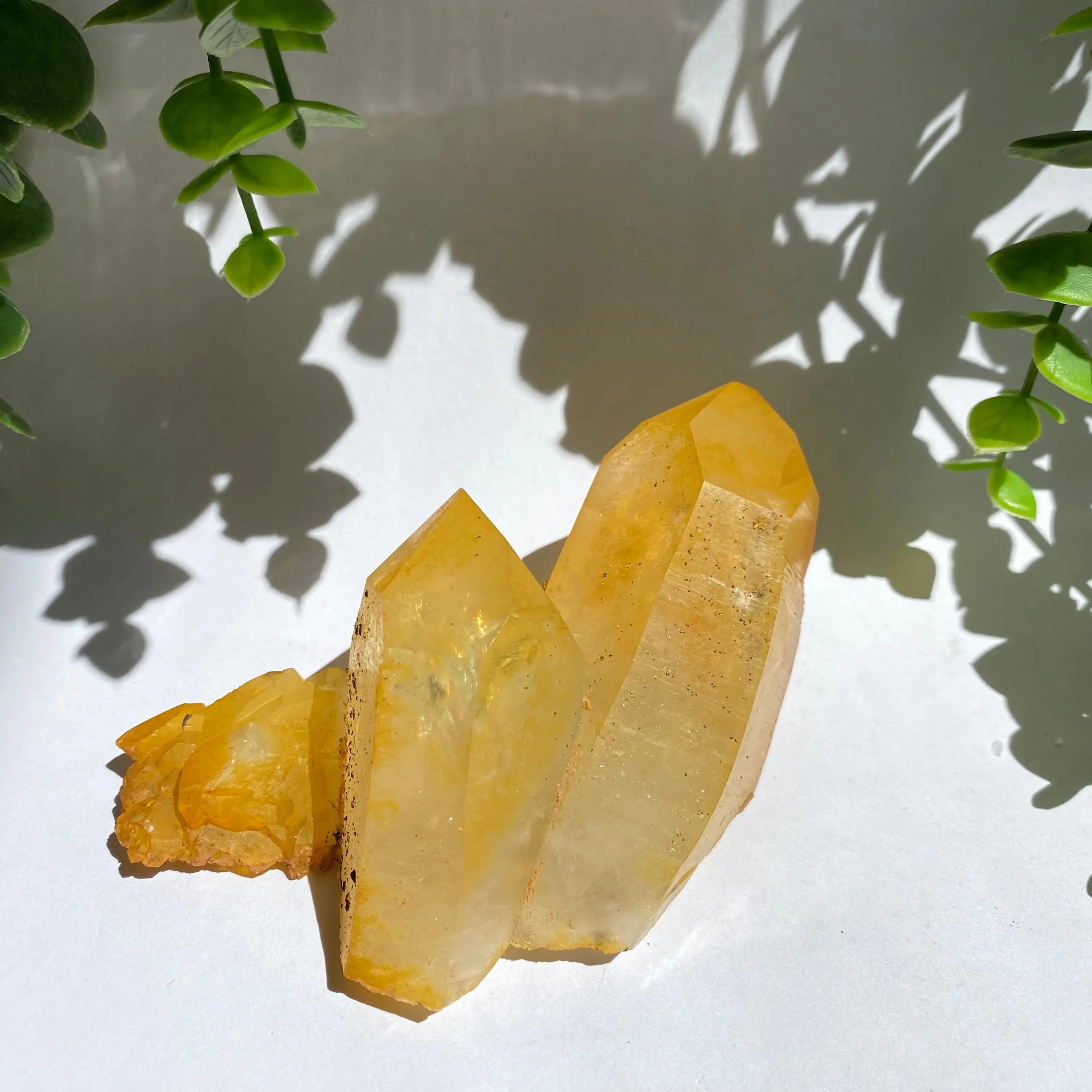 Golden Healer Cluster Arabella Crystals