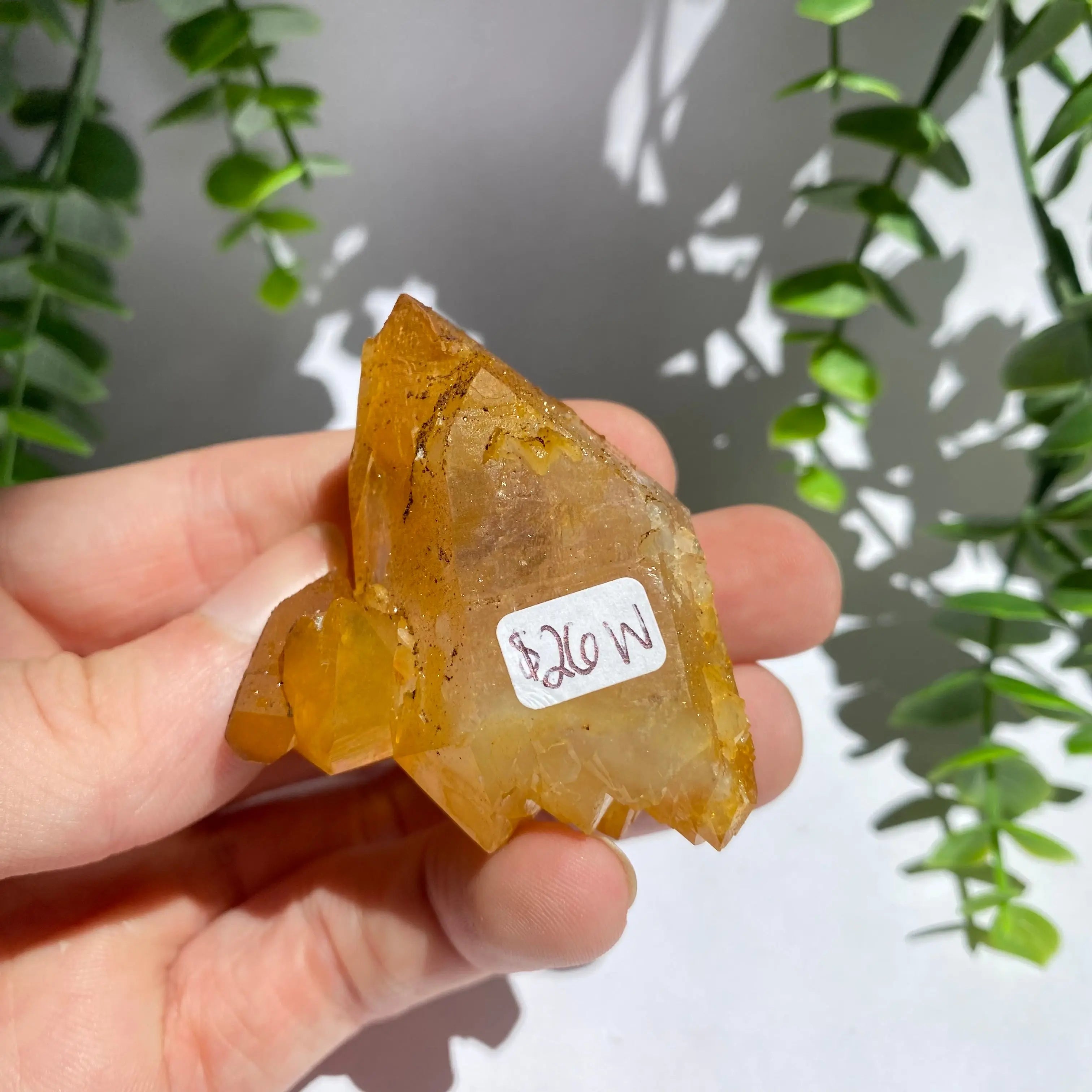 Golden Healer Cluster Arabella Crystals