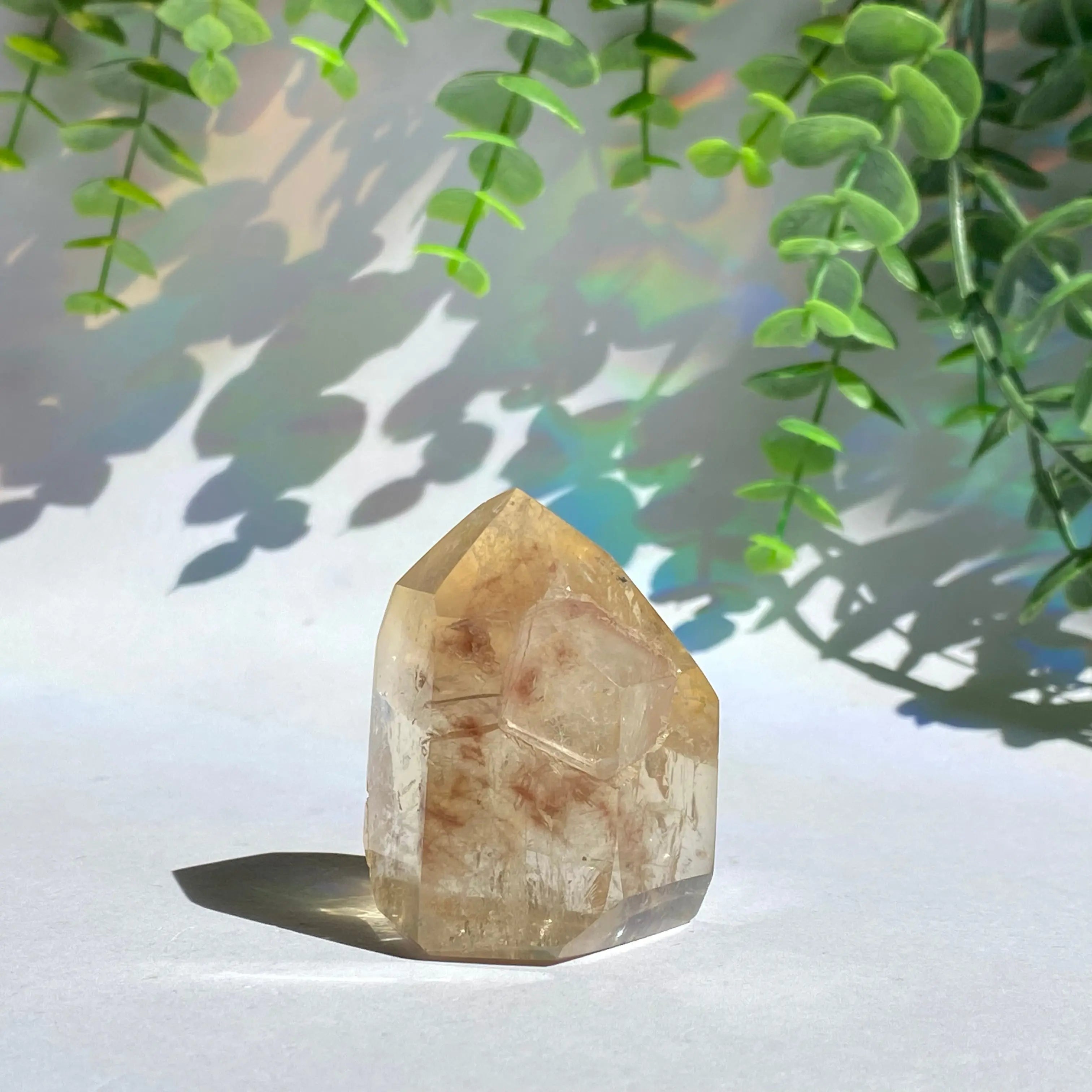 Genuine Citrine Point Arabella Crystals