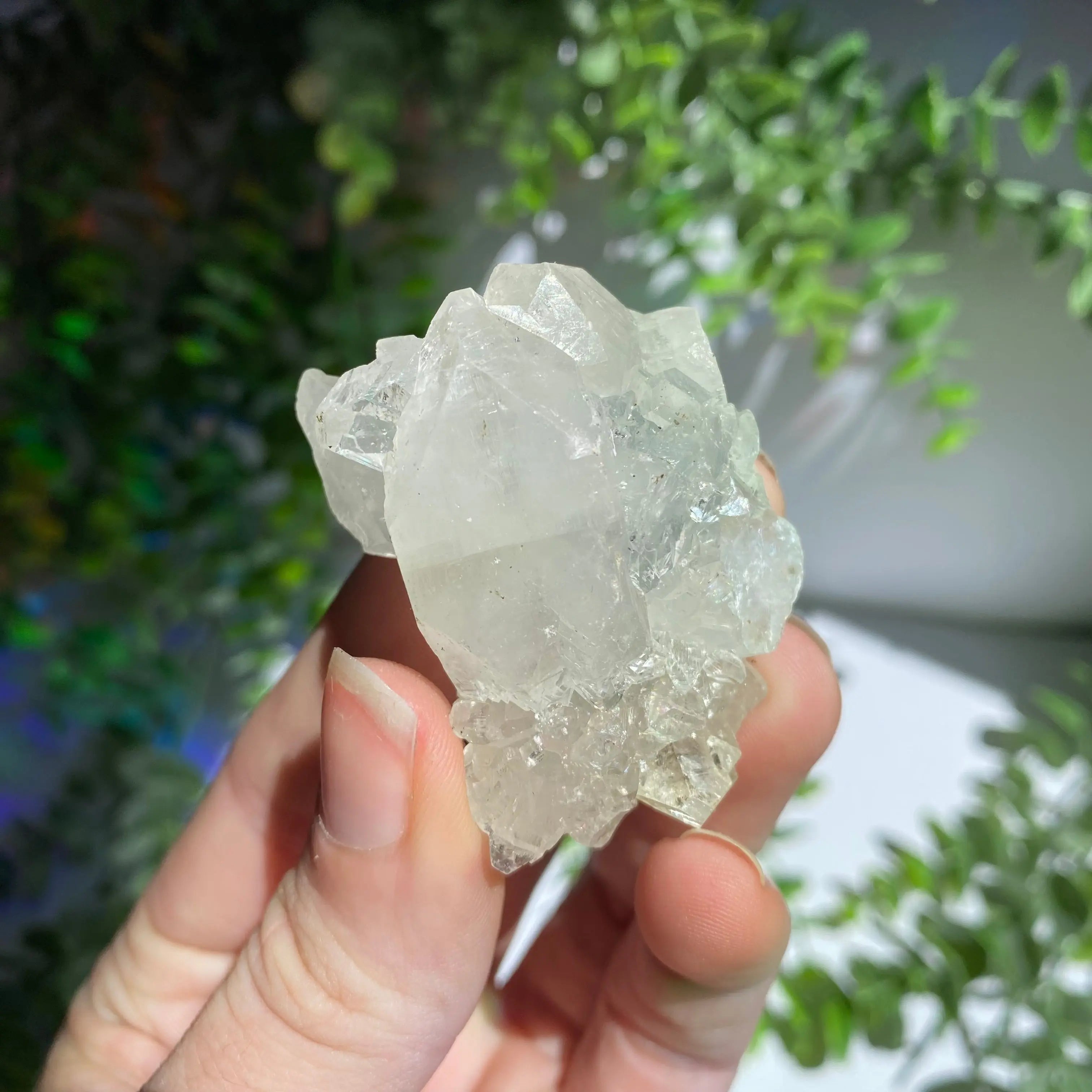 Zeolite Cluster Arabella Crystals