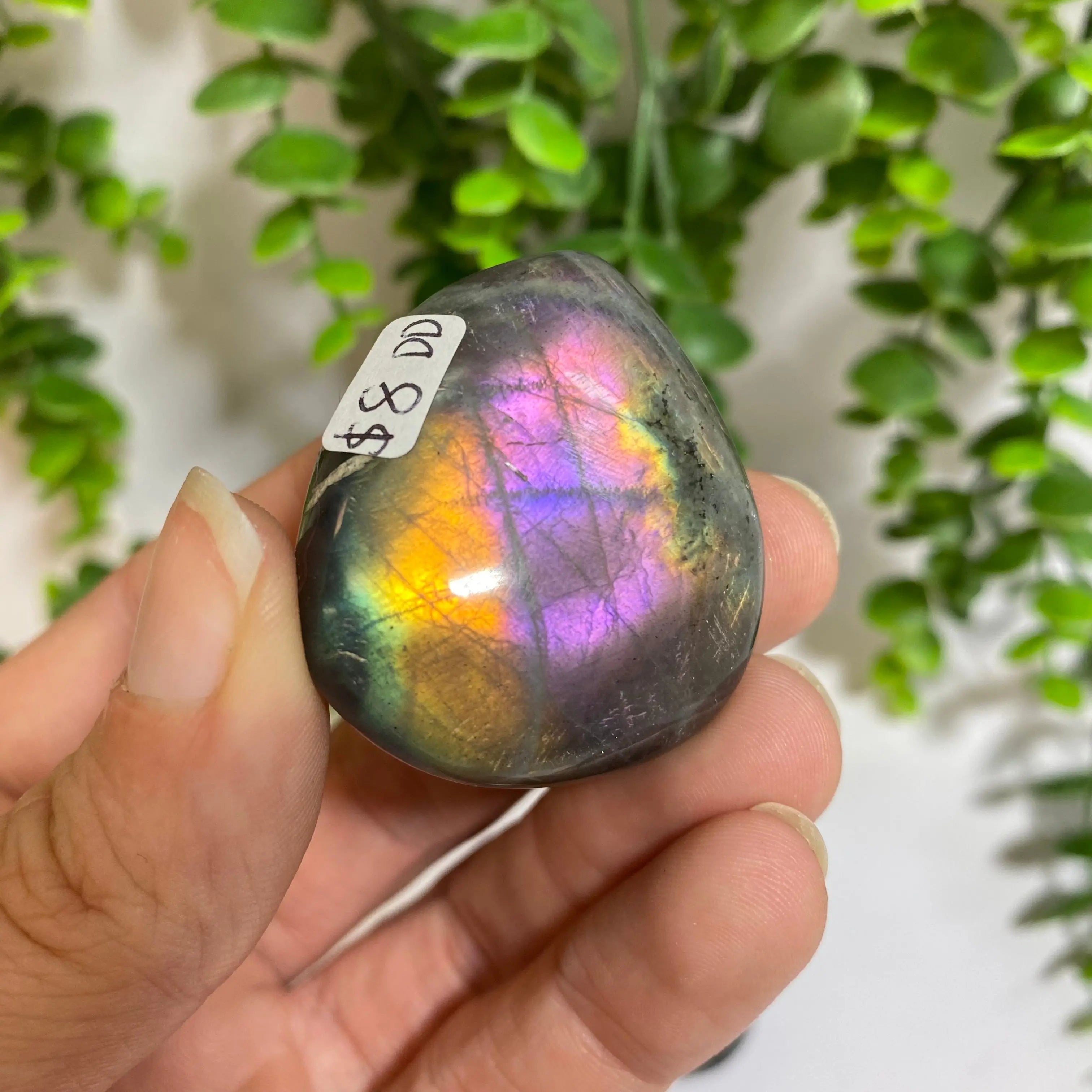 Purple Labradorite Palm Stone Arabella Crystals