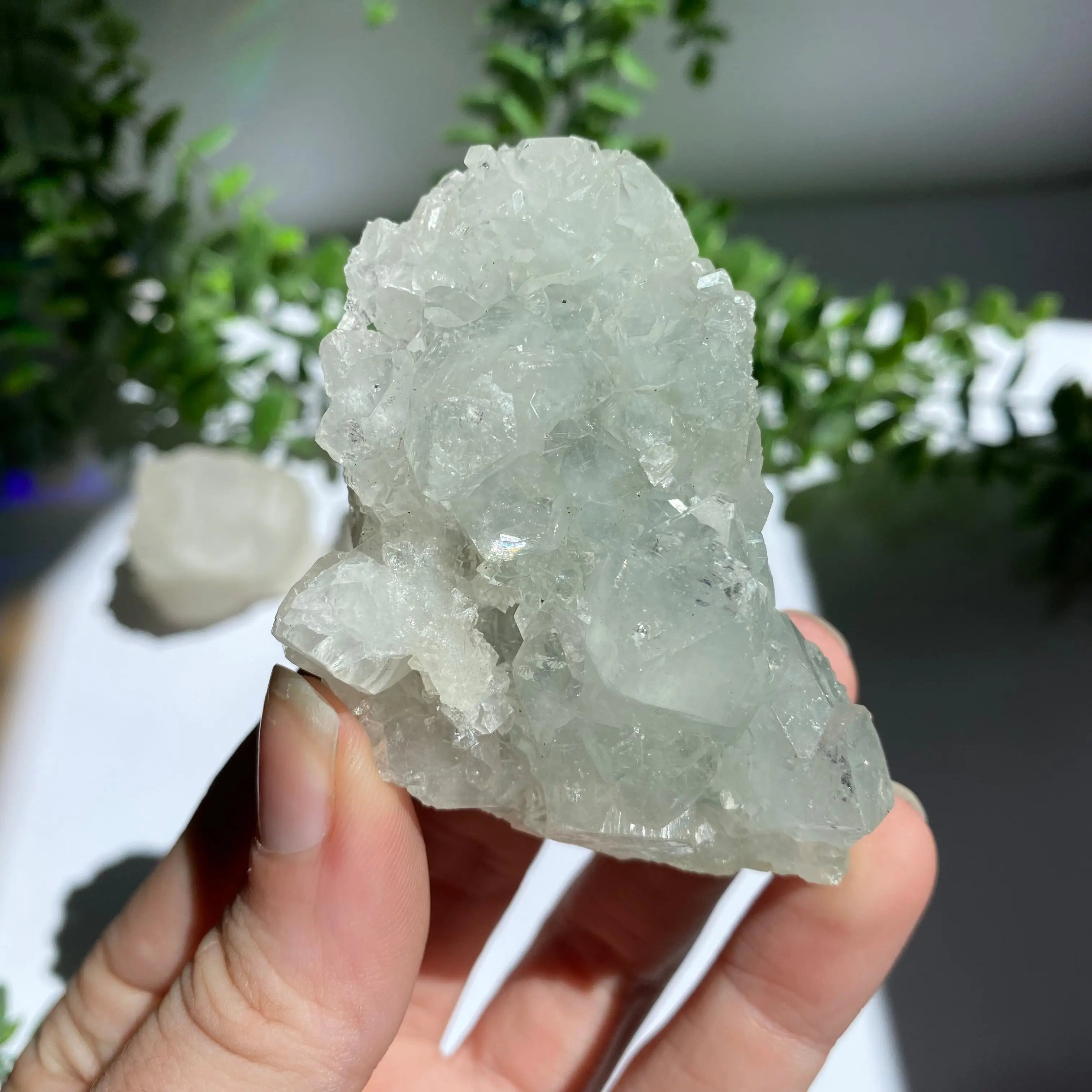 Zeolite Cluster Arabella Crystals