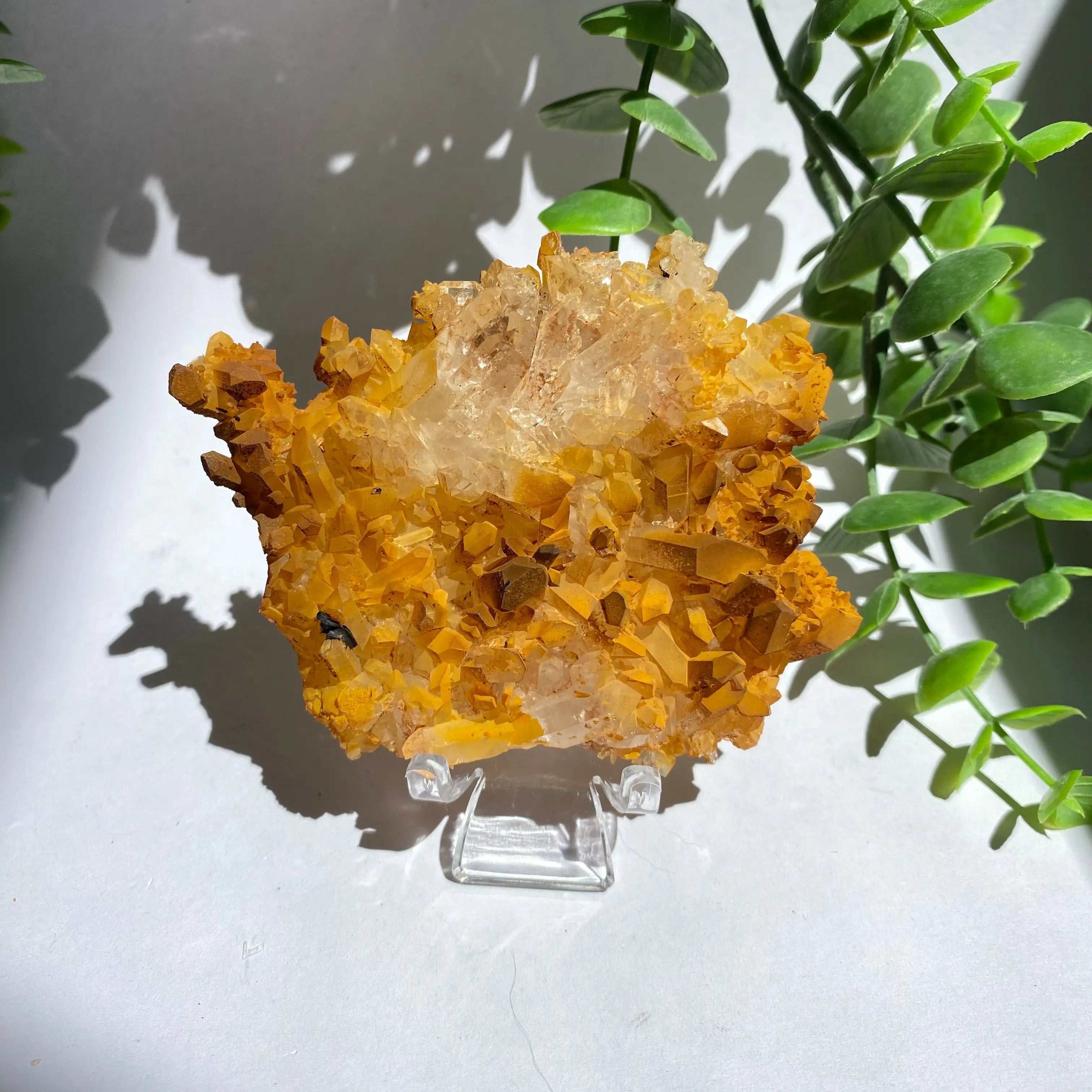 Golden Healer Cluster Arabella Crystals
