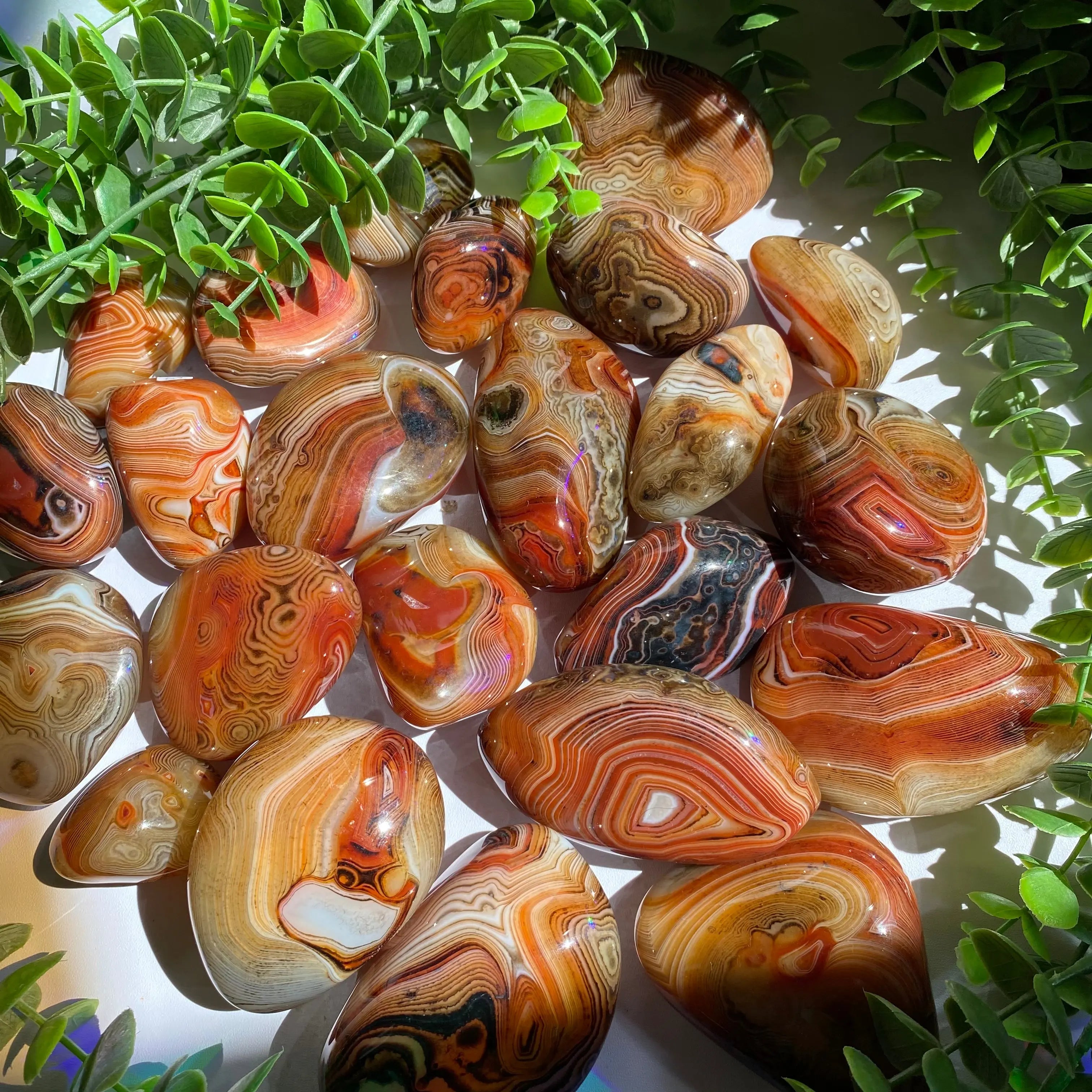 Sardonyx (Carnelian X Onyx) Palm Stone for Passion & Creativity