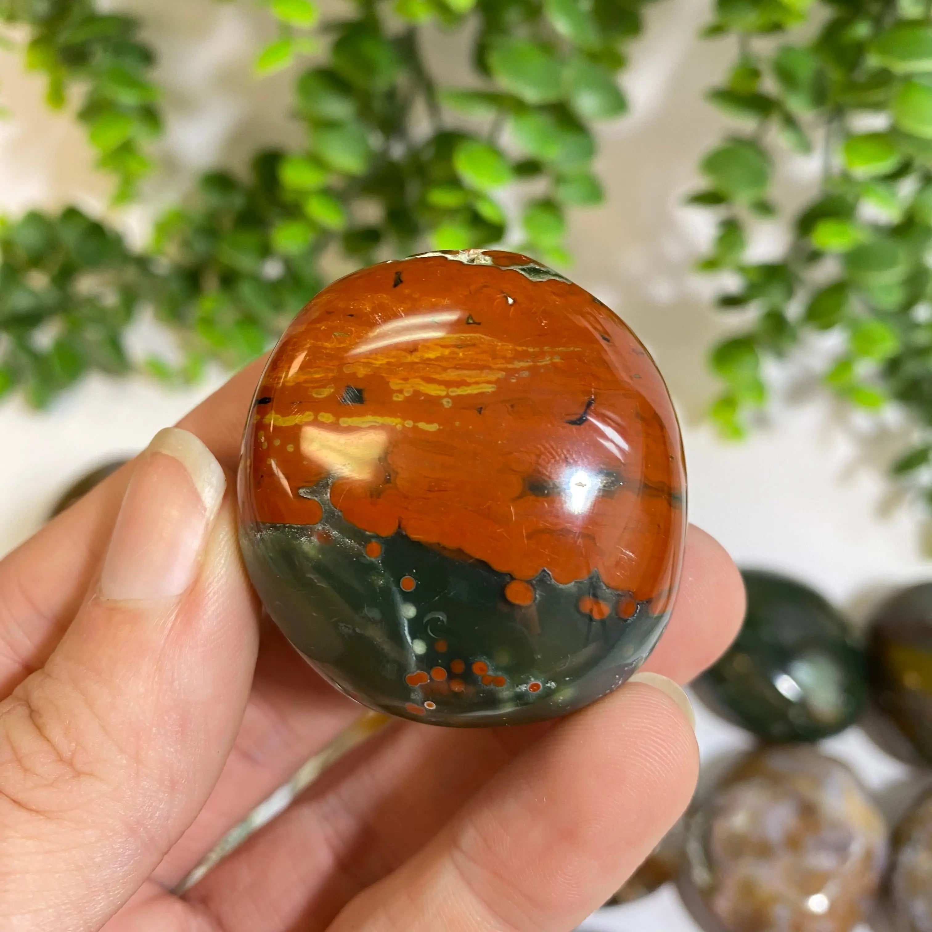 Ocean Jasper Palm Stone Arabella Crystals