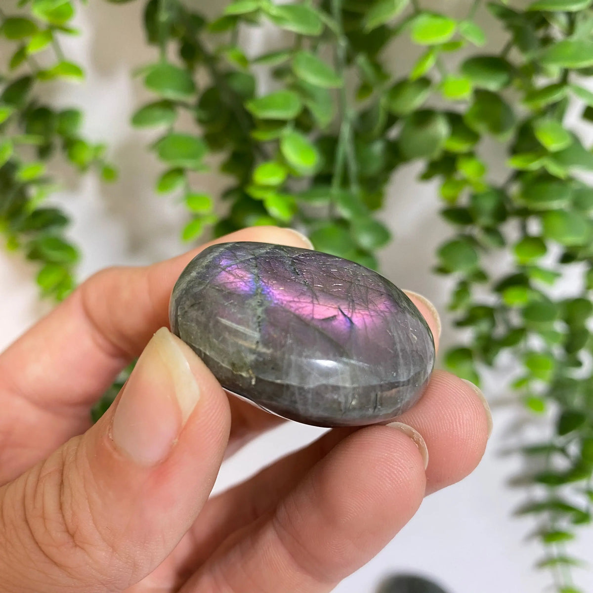 Purple Labradorite Palm Stone Arabella Crystals