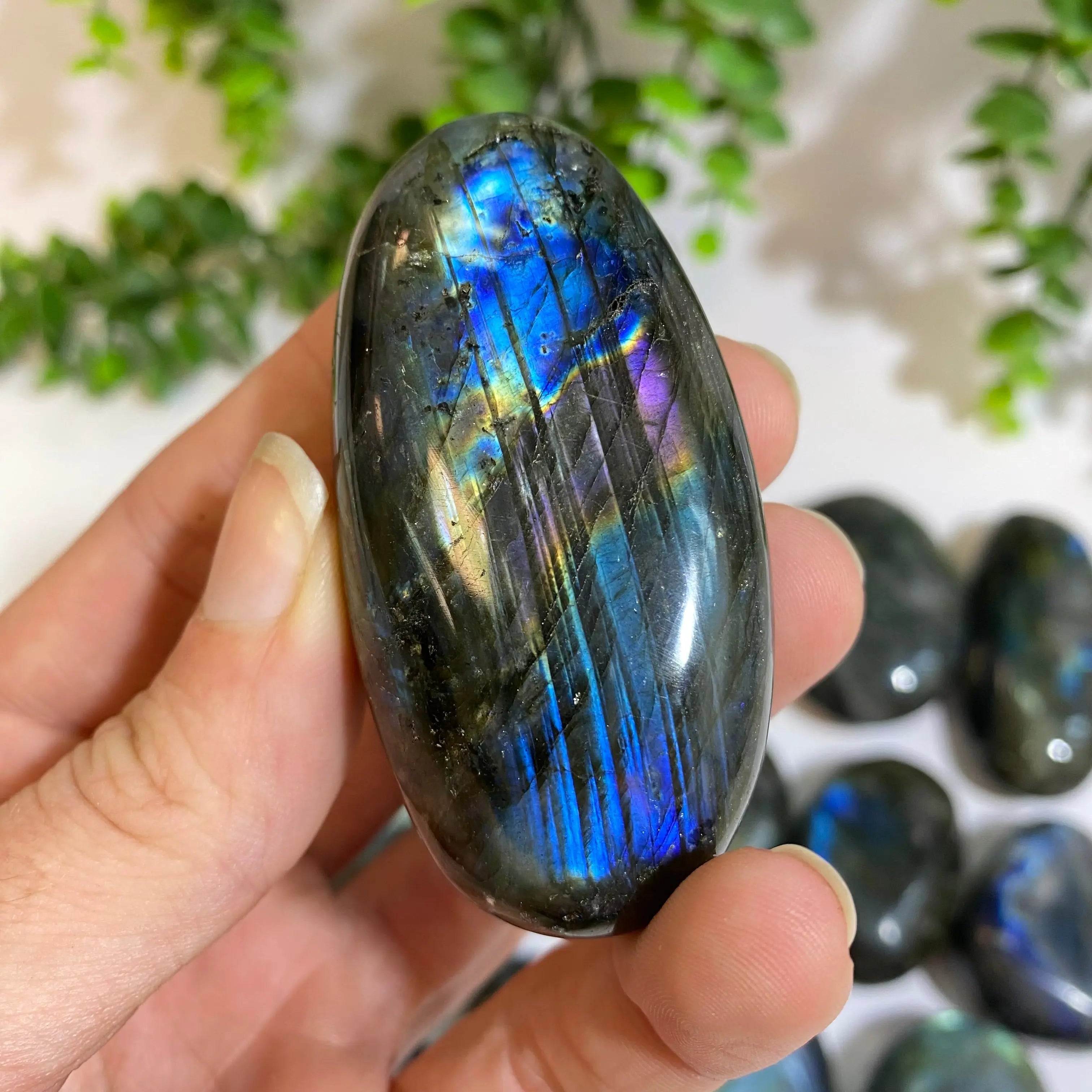 Labradorite Palm Stone Arabella Crystals