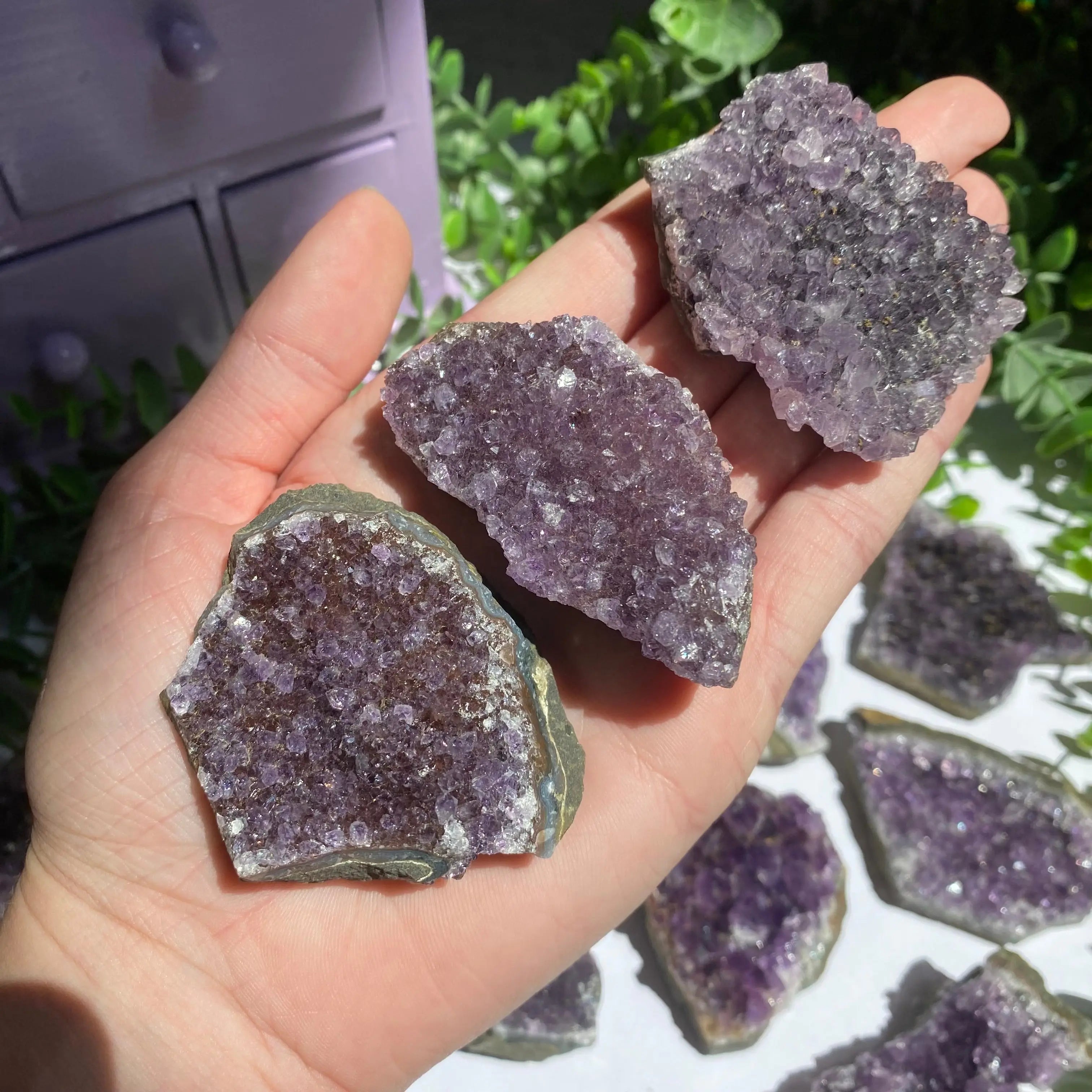 Amethyst Cluster Arabella Crystals