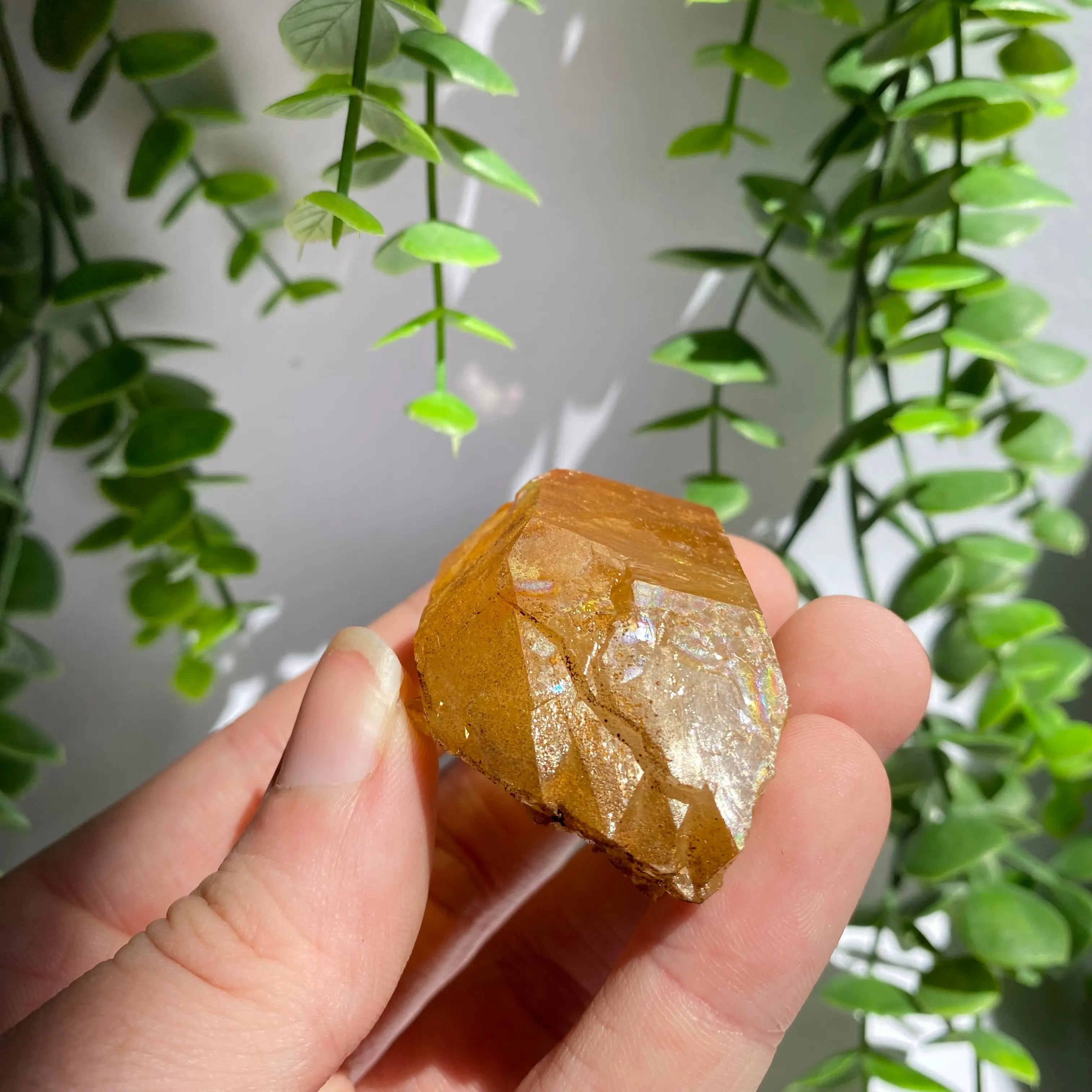Golden Healer Cluster Arabella Crystals