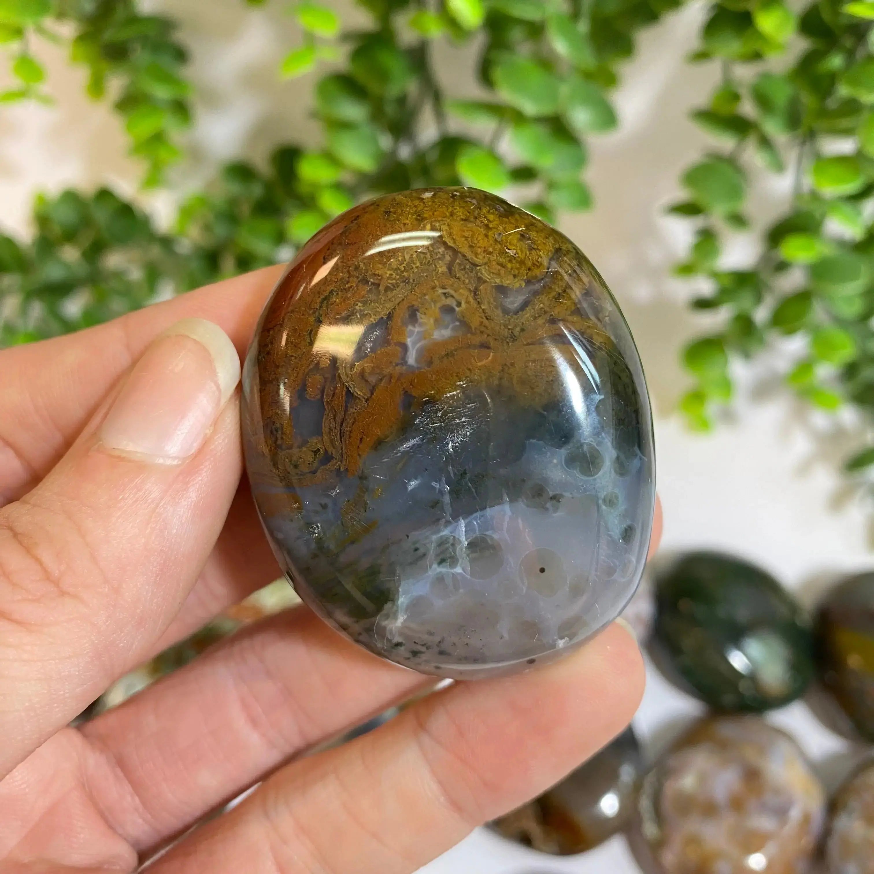 Ocean Jasper Palm Stone Arabella Crystals