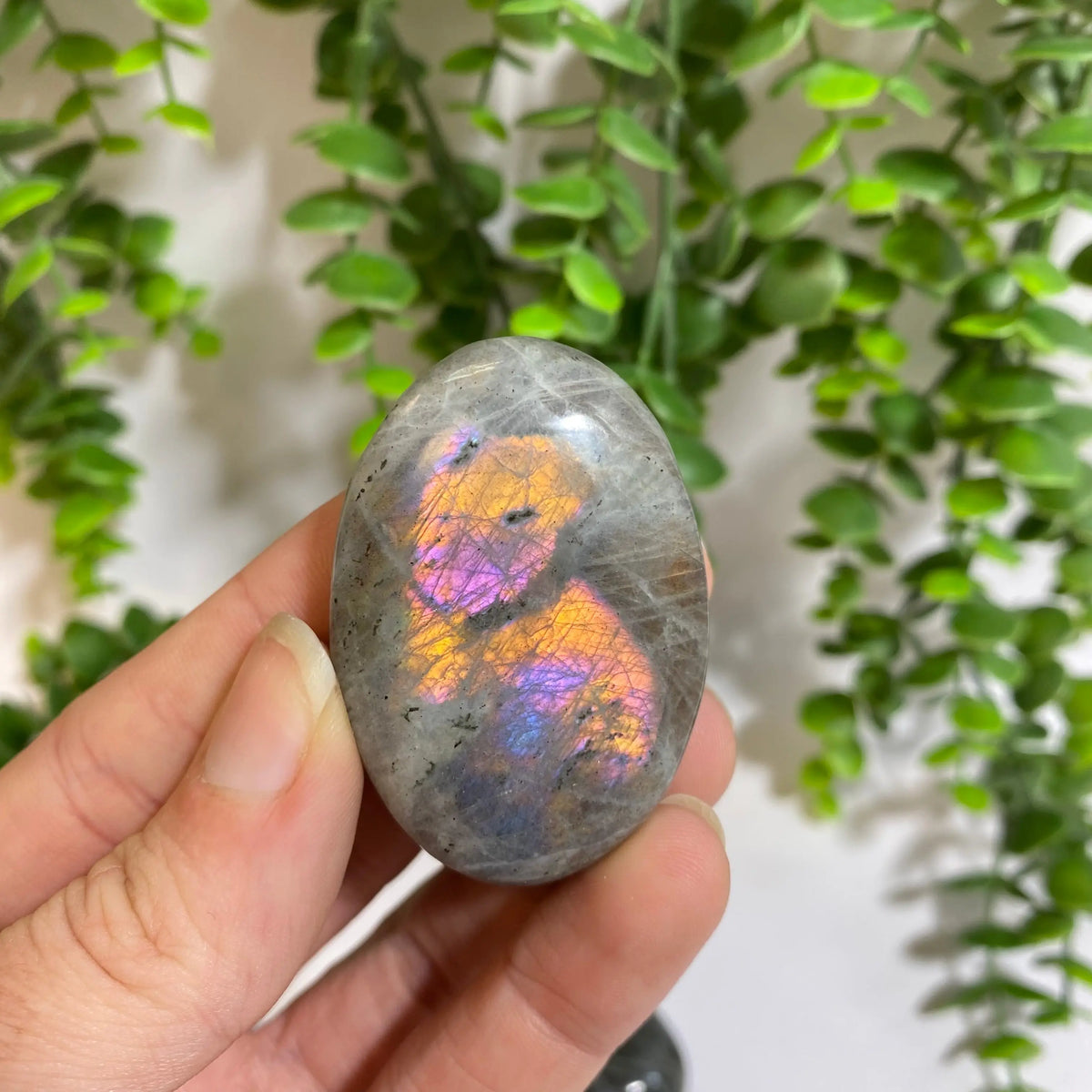 Purple Labradorite Palm Stone Arabella Crystals