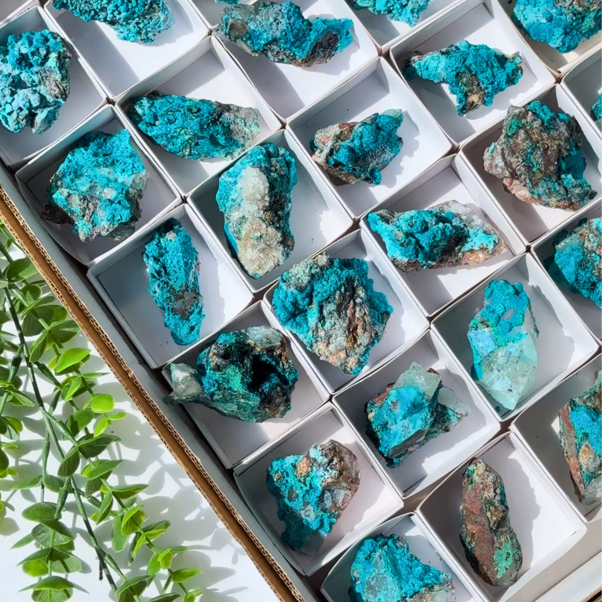 Chrysocolla on Quartz Clusters Arabella Crystals