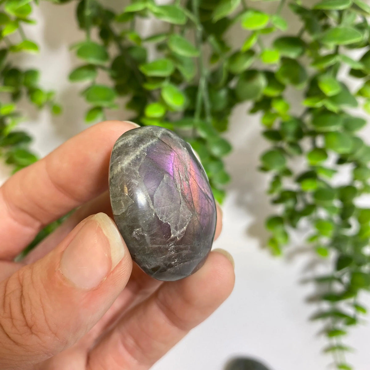 Purple Labradorite Palm Stone Arabella Crystals