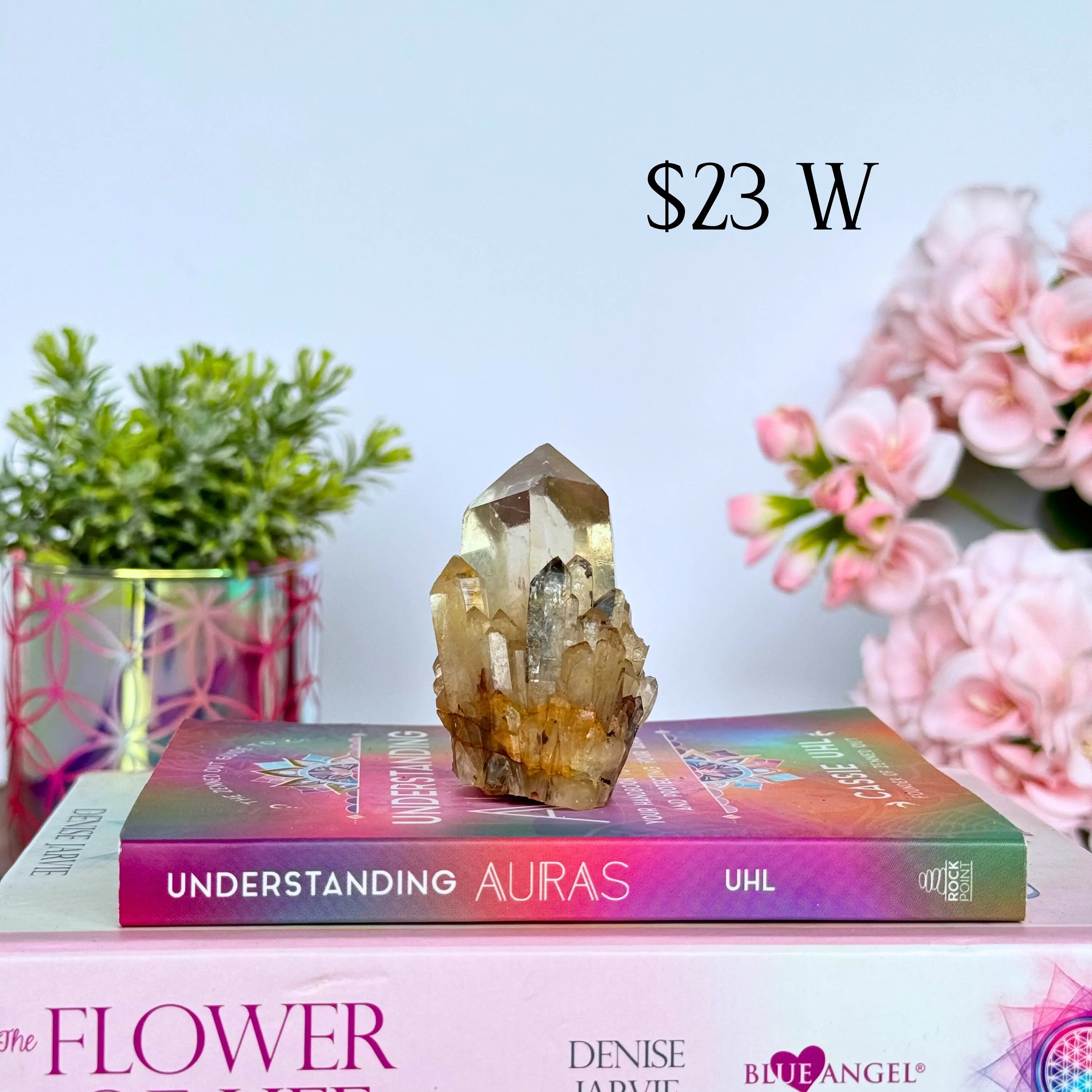 Kundalini Citrine Clusters Arabella Crystals