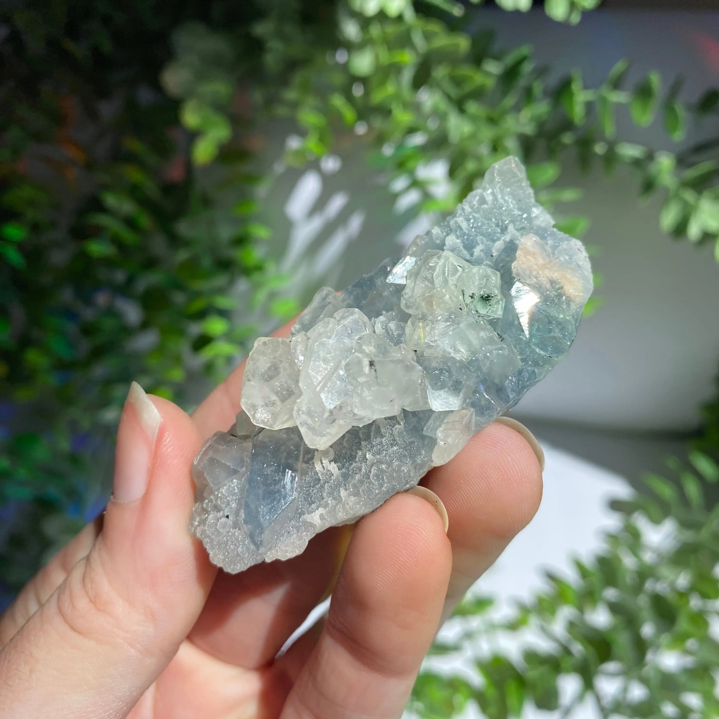 Zeolite Cluster Arabella Crystals