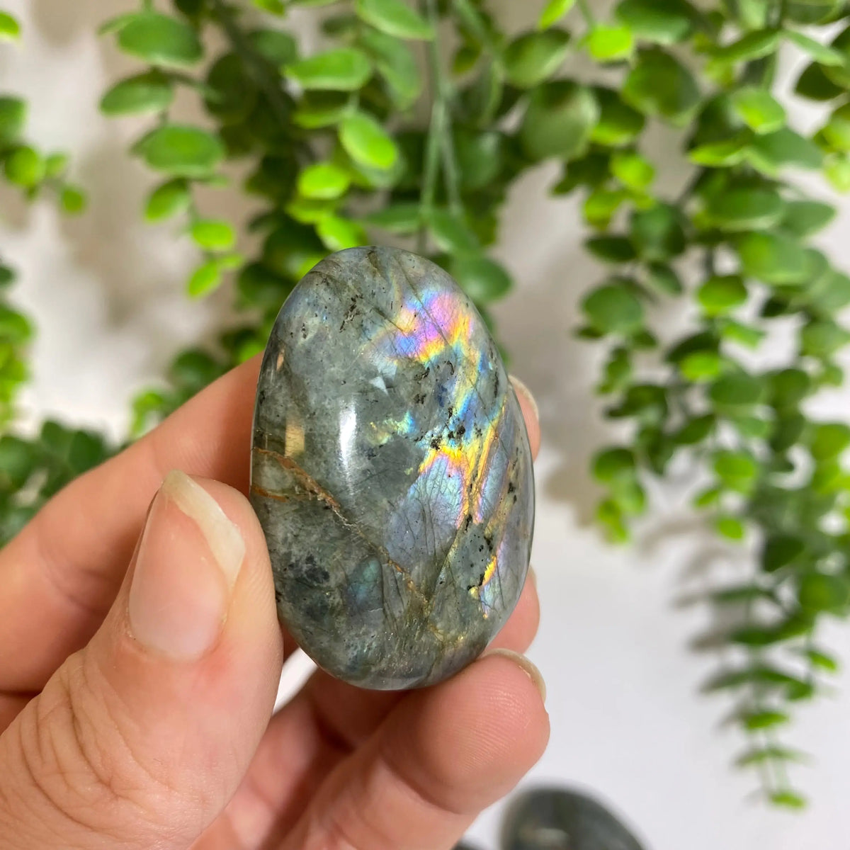 Purple Labradorite Palm Stone Arabella Crystals
