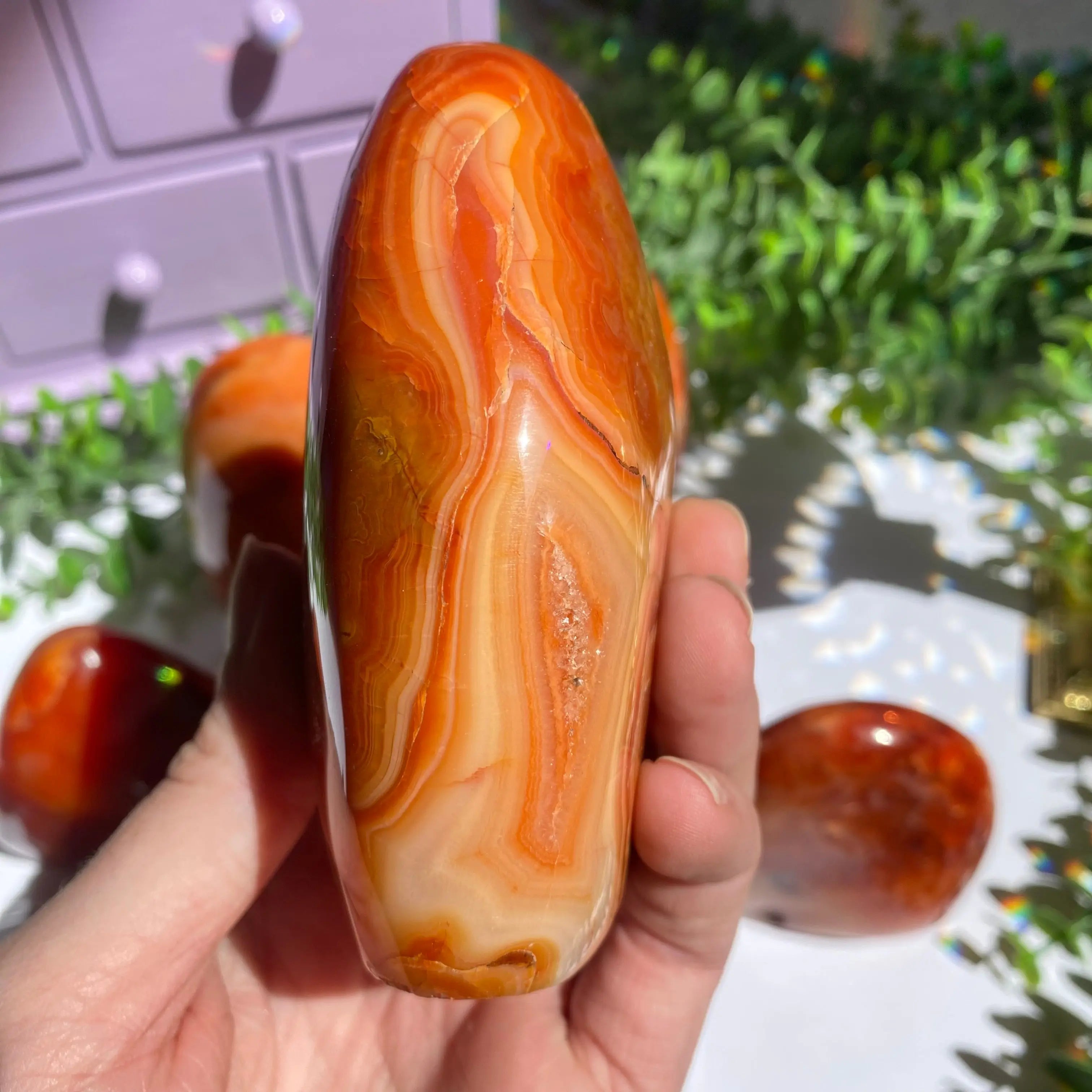 Carnelian Agate Free Form for Passion & Creativity