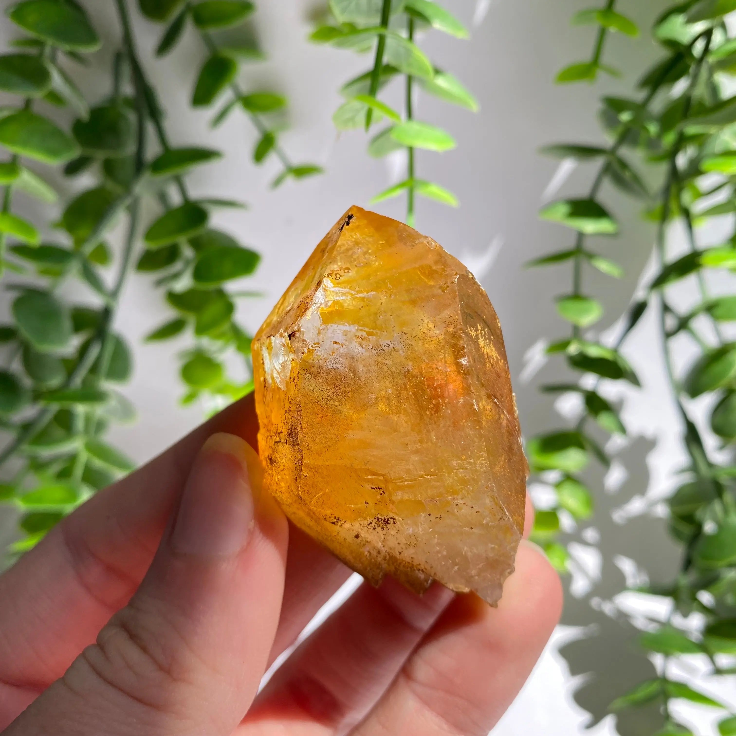 Golden Healer Cluster Arabella Crystals