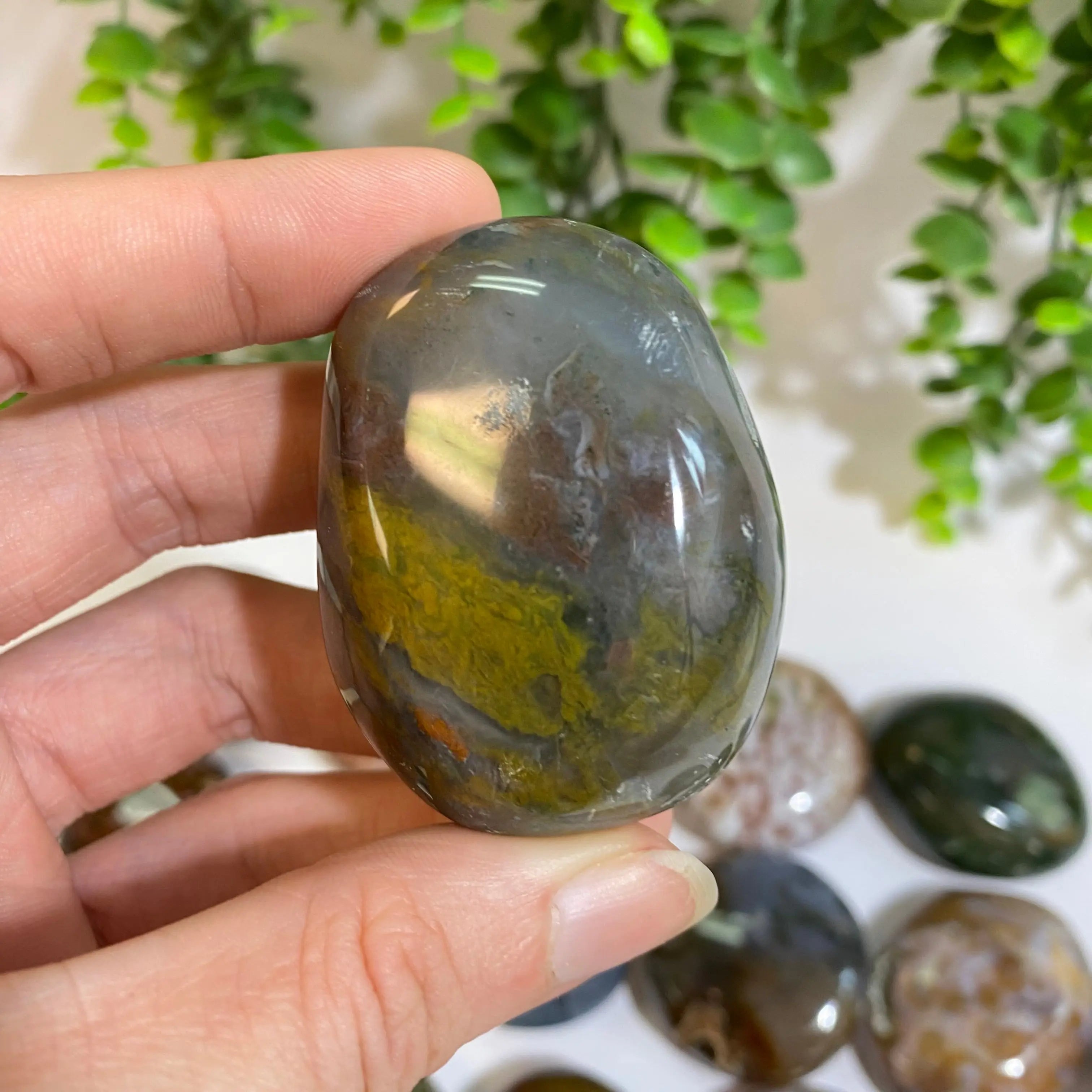 Ocean Jasper Palm Stone Arabella Crystals