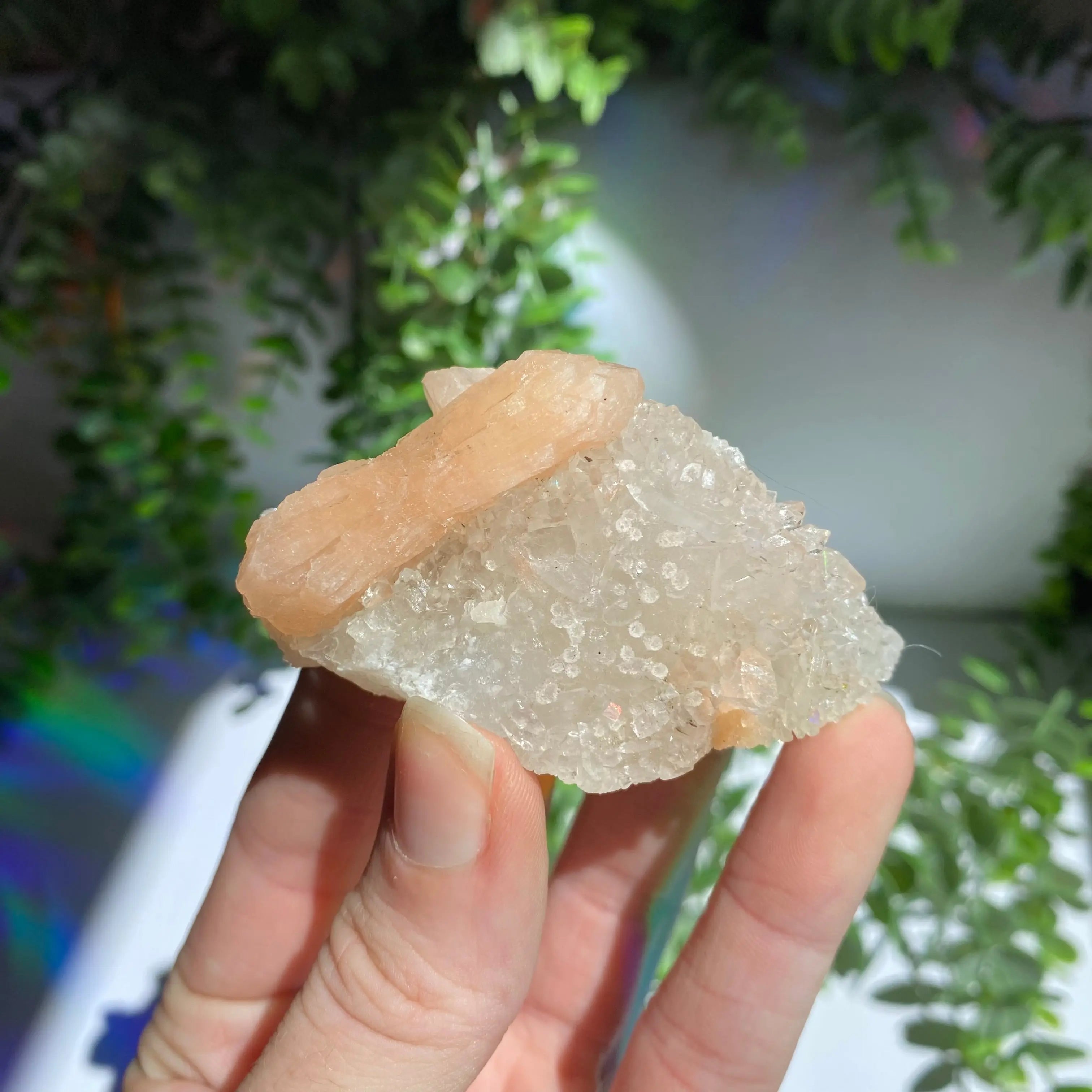 Zeolite Cluster Arabella Crystals