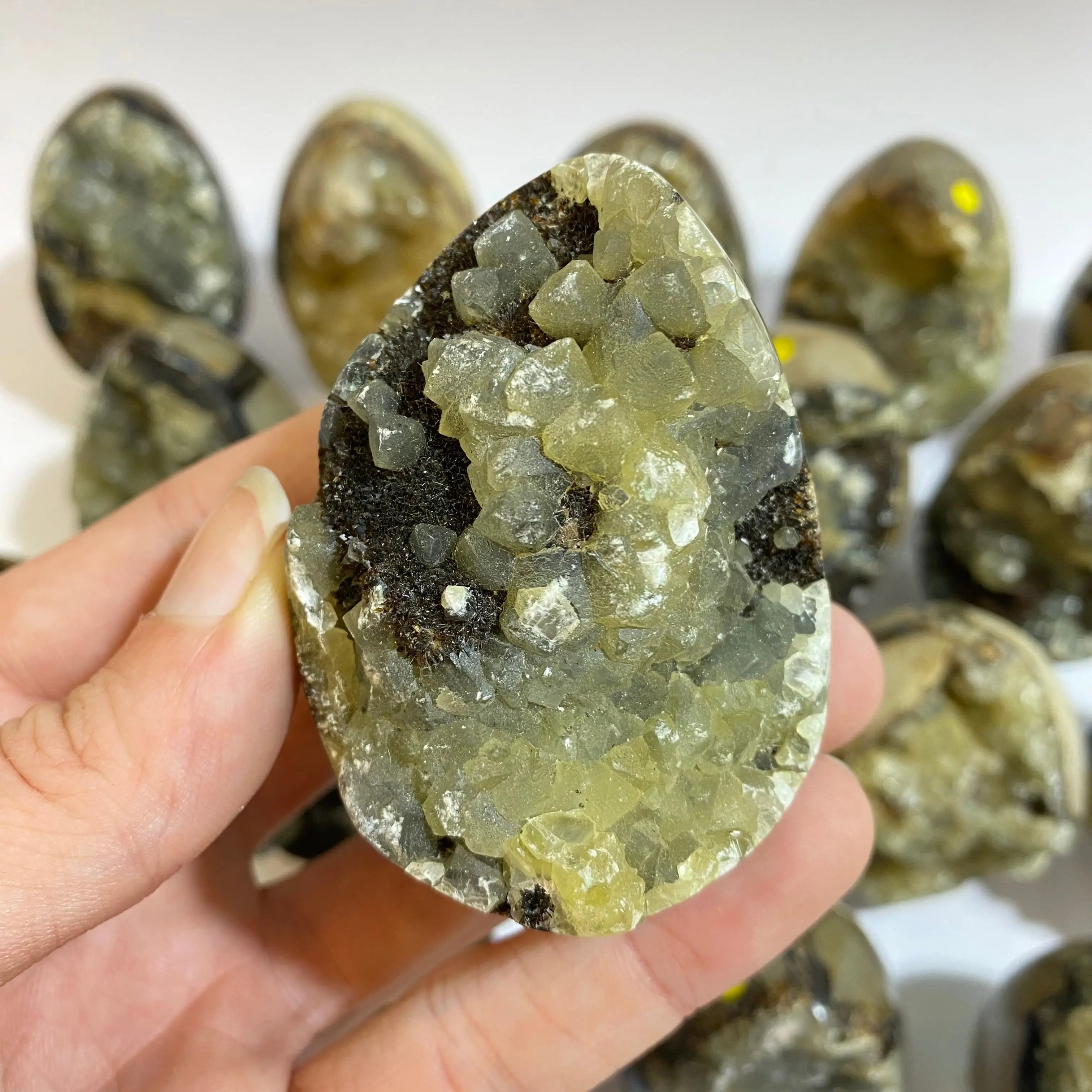 Septarian Agate Egg Arabella Crystals