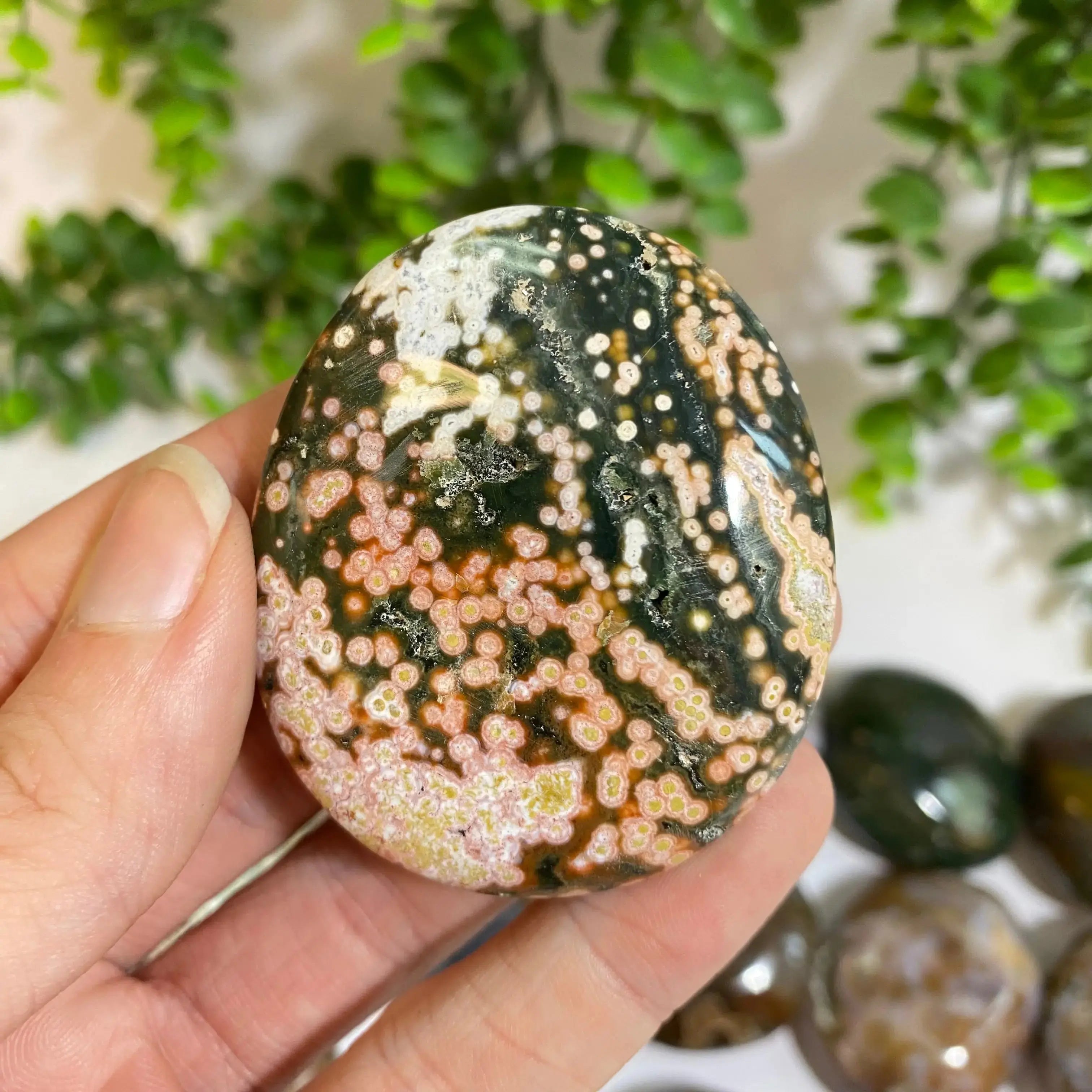 Ocean Jasper Palm Stone Arabella Crystals