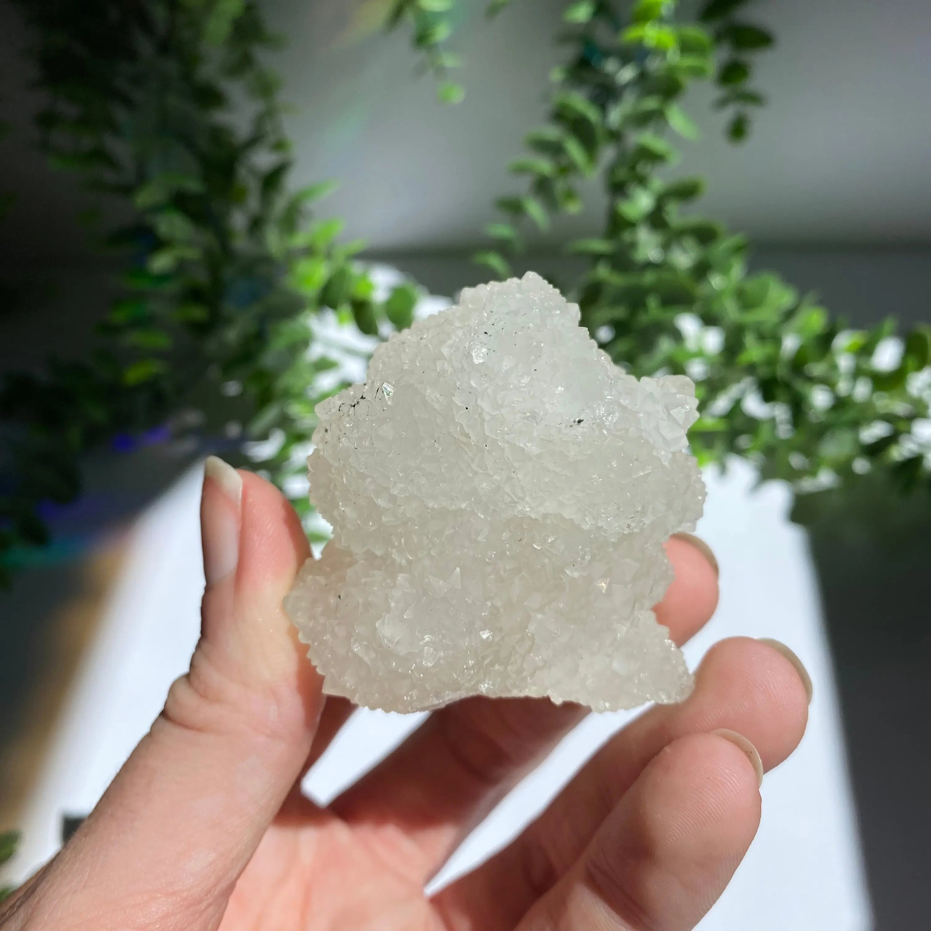 Zeolite Cluster Arabella Crystals