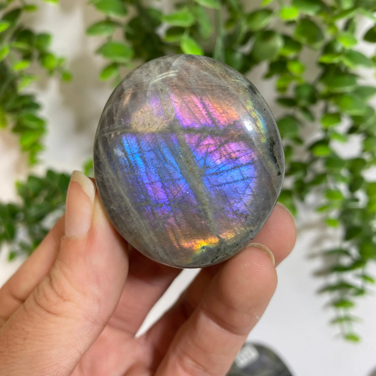 Purple Labradorite Palm Stone Arabella Crystals