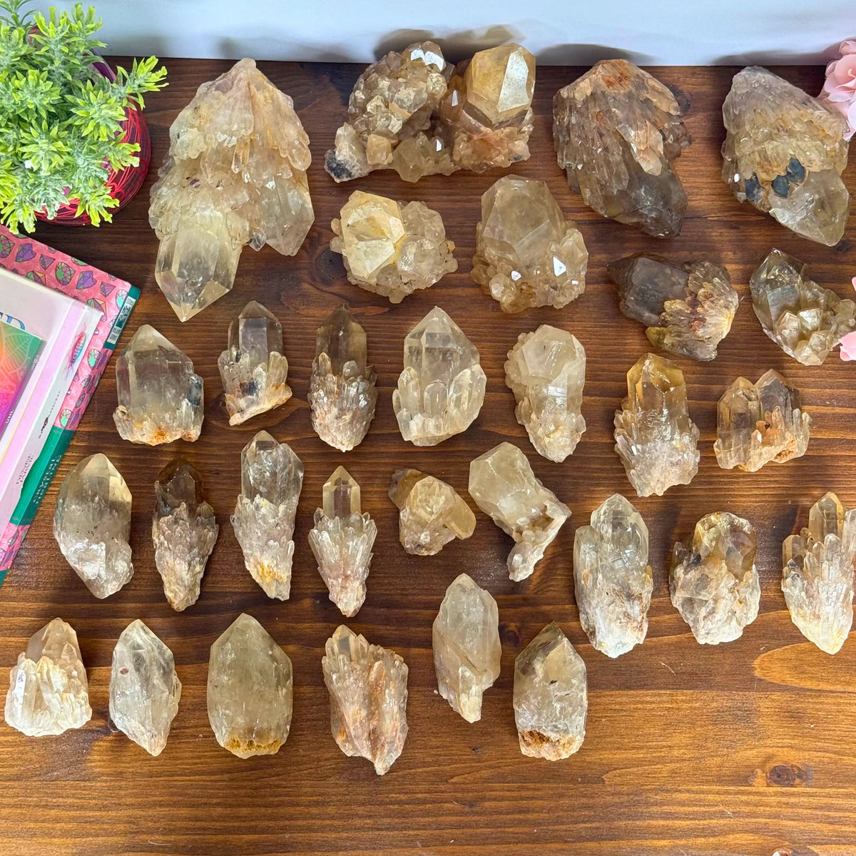 Kundalini Citrine Clusters Arabella Crystals