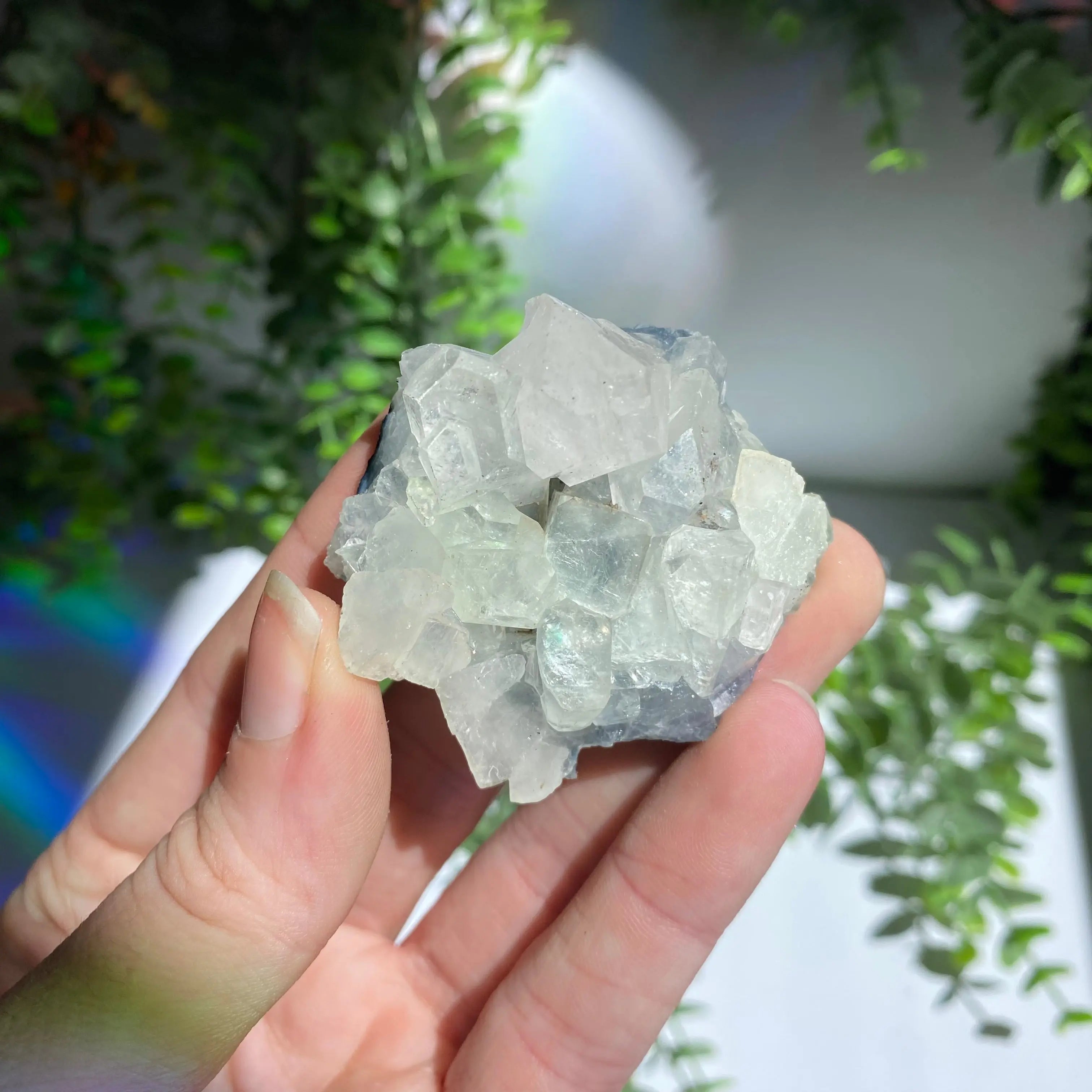 Zeolite Cluster Arabella Crystals