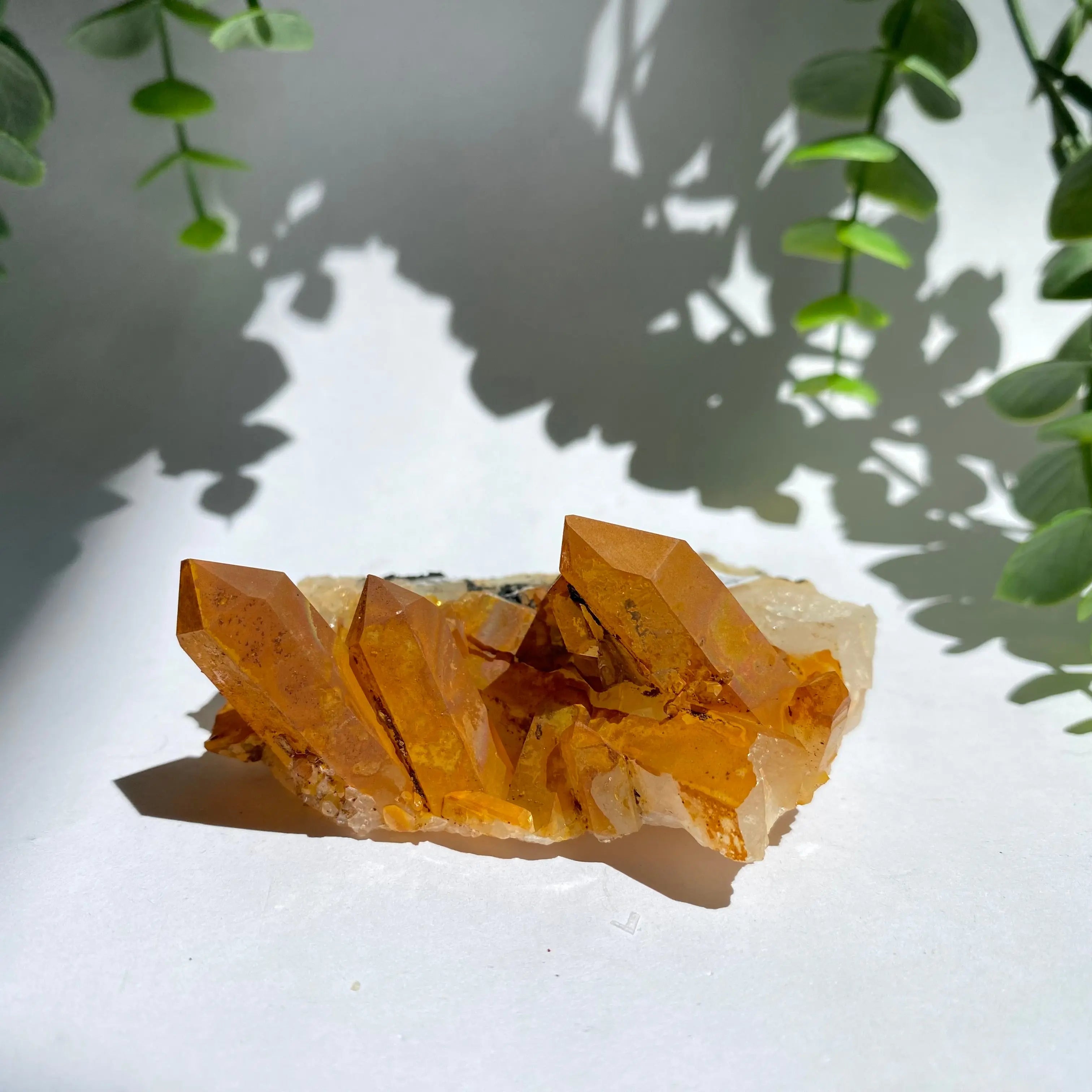 Golden Healer Cluster Arabella Crystals