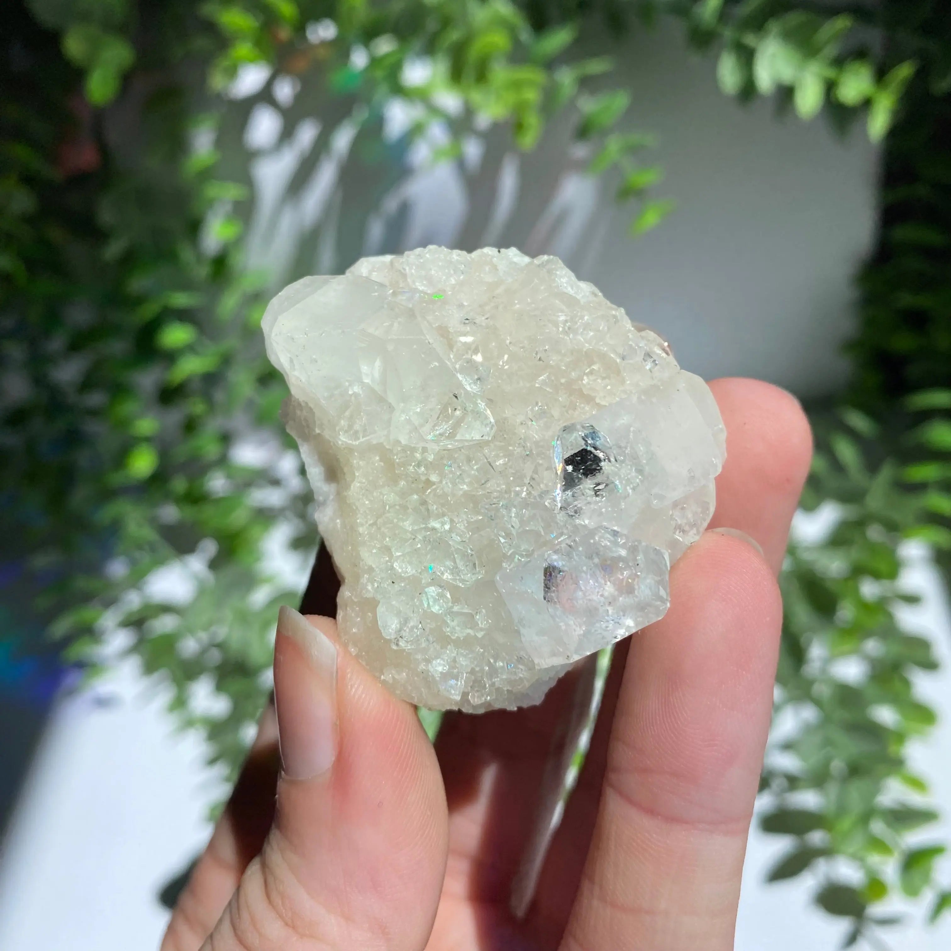 Zeolite Cluster Arabella Crystals