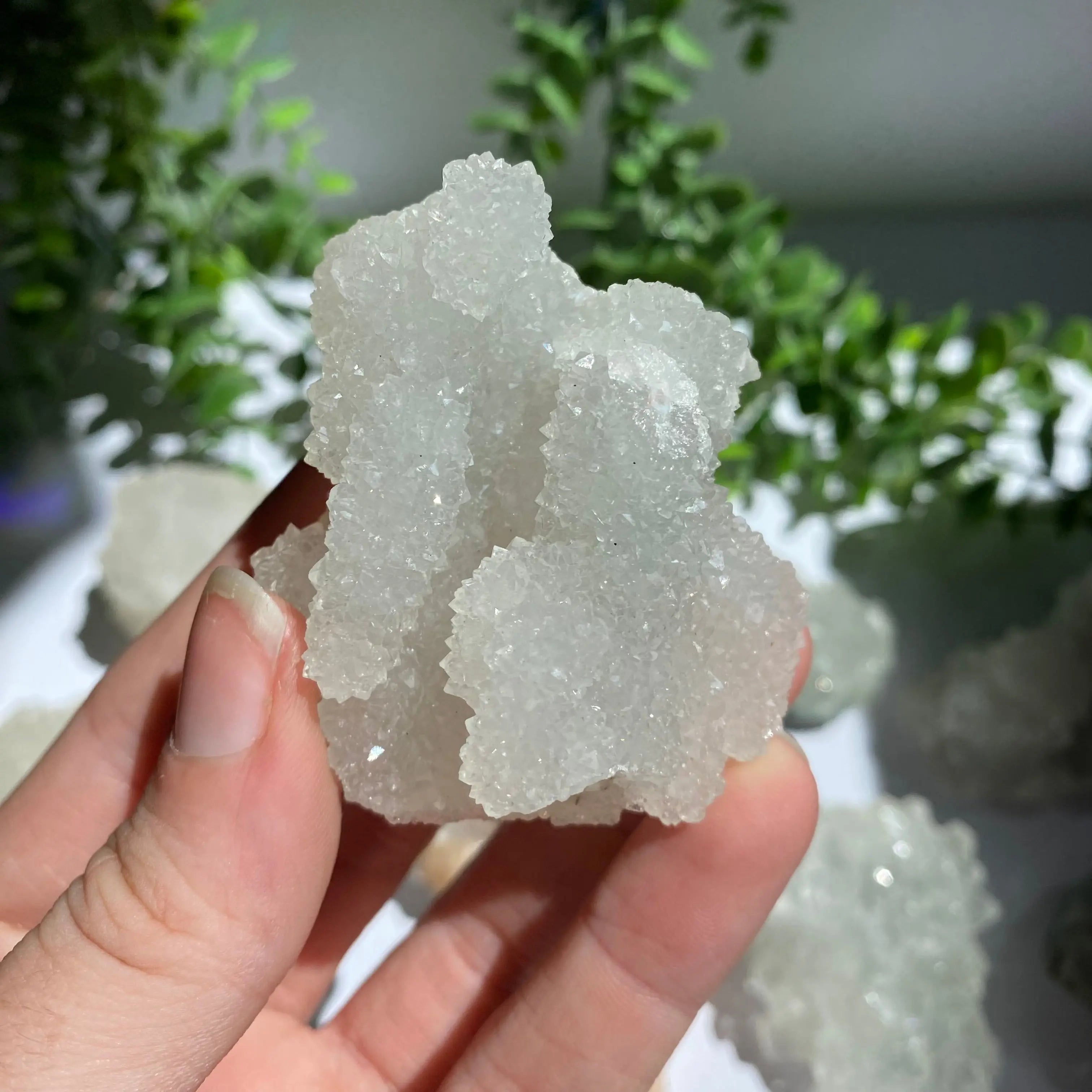 Zeolite Cluster Arabella Crystals