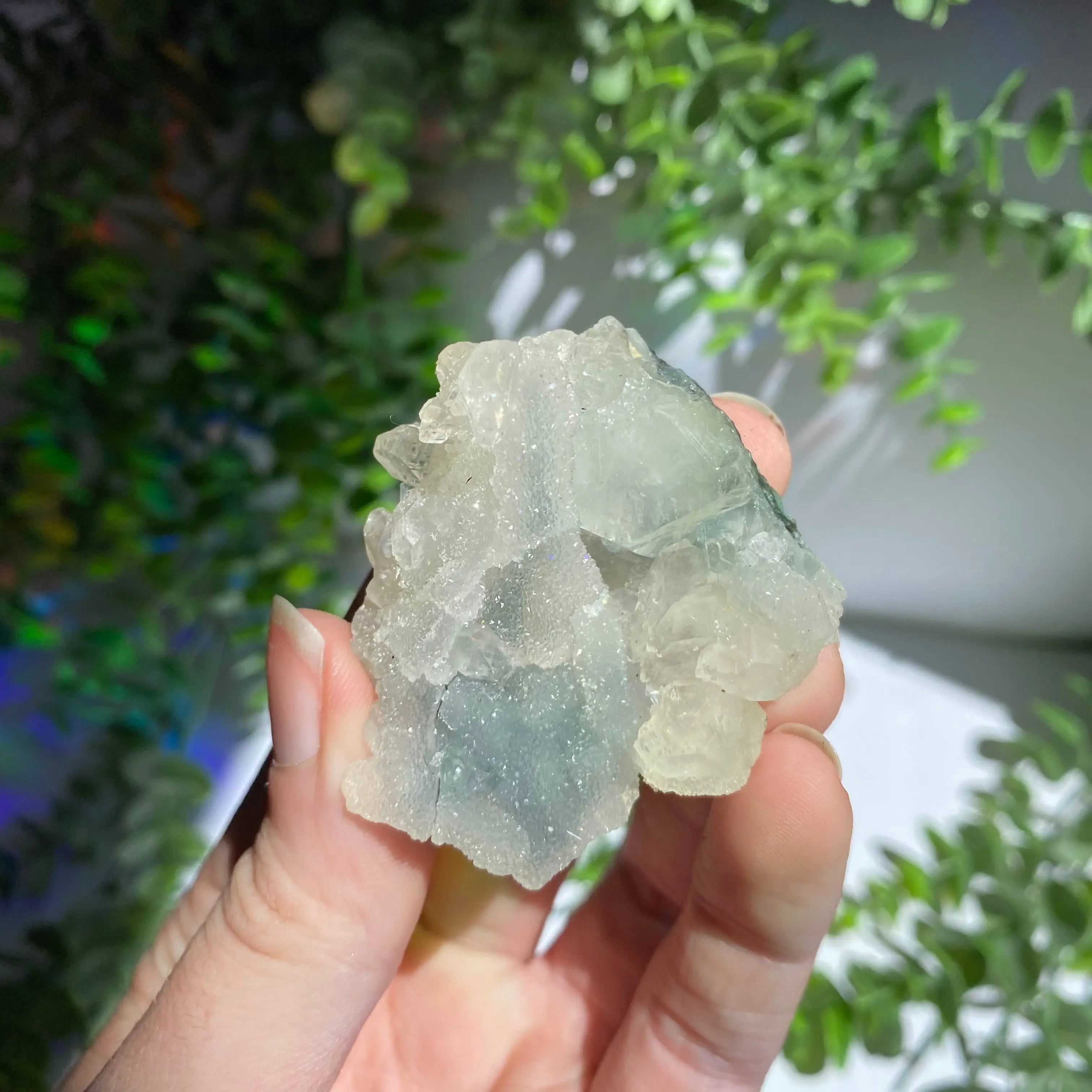 Zeolite Cluster Arabella Crystals