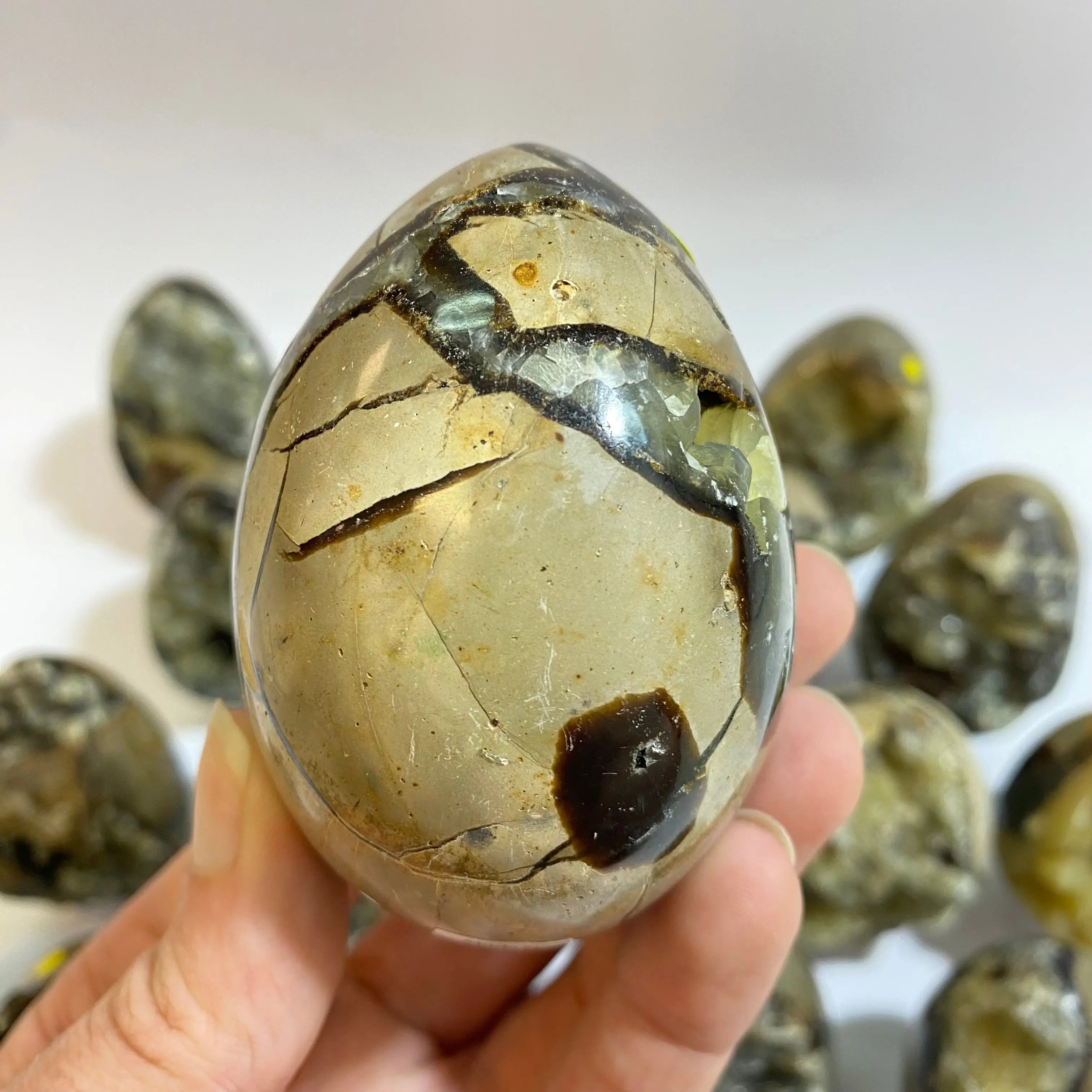 Septarian Agate Egg Arabella Crystals