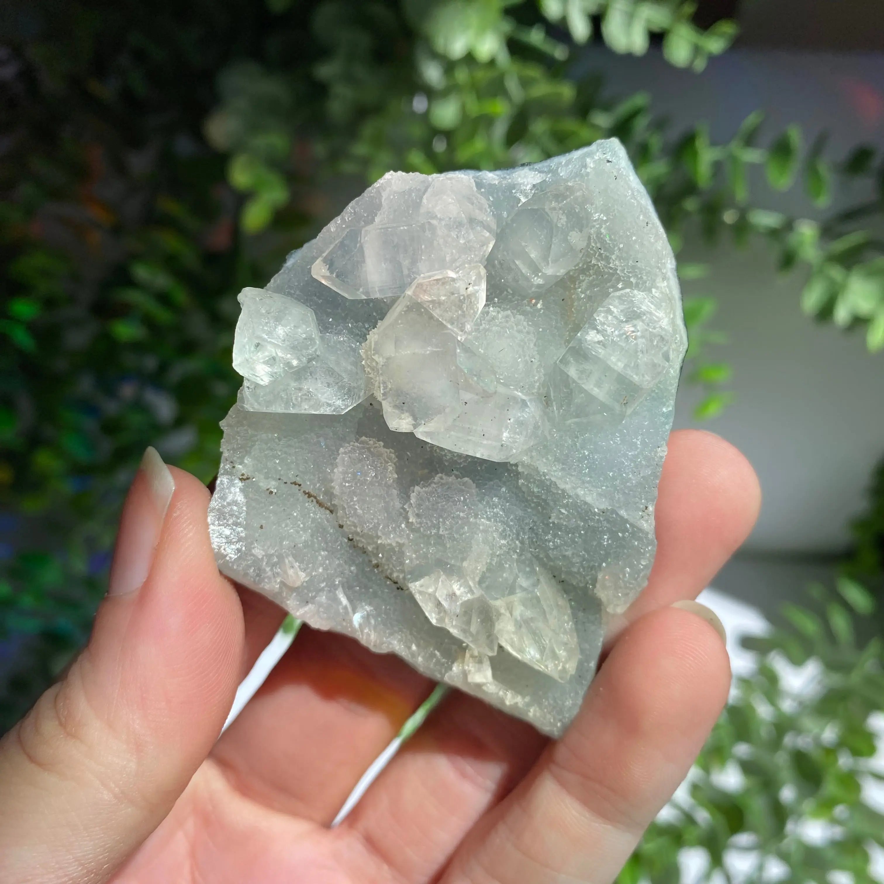 Zeolite Cluster Arabella Crystals