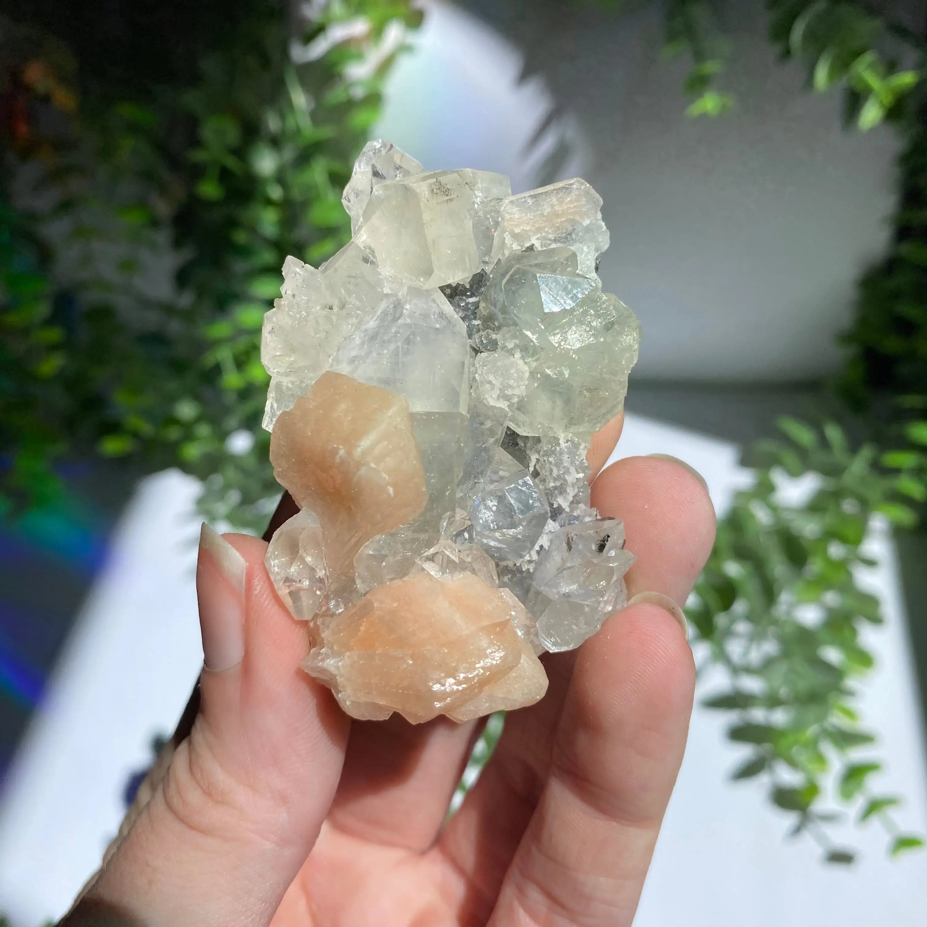Zeolite Cluster Arabella Crystals