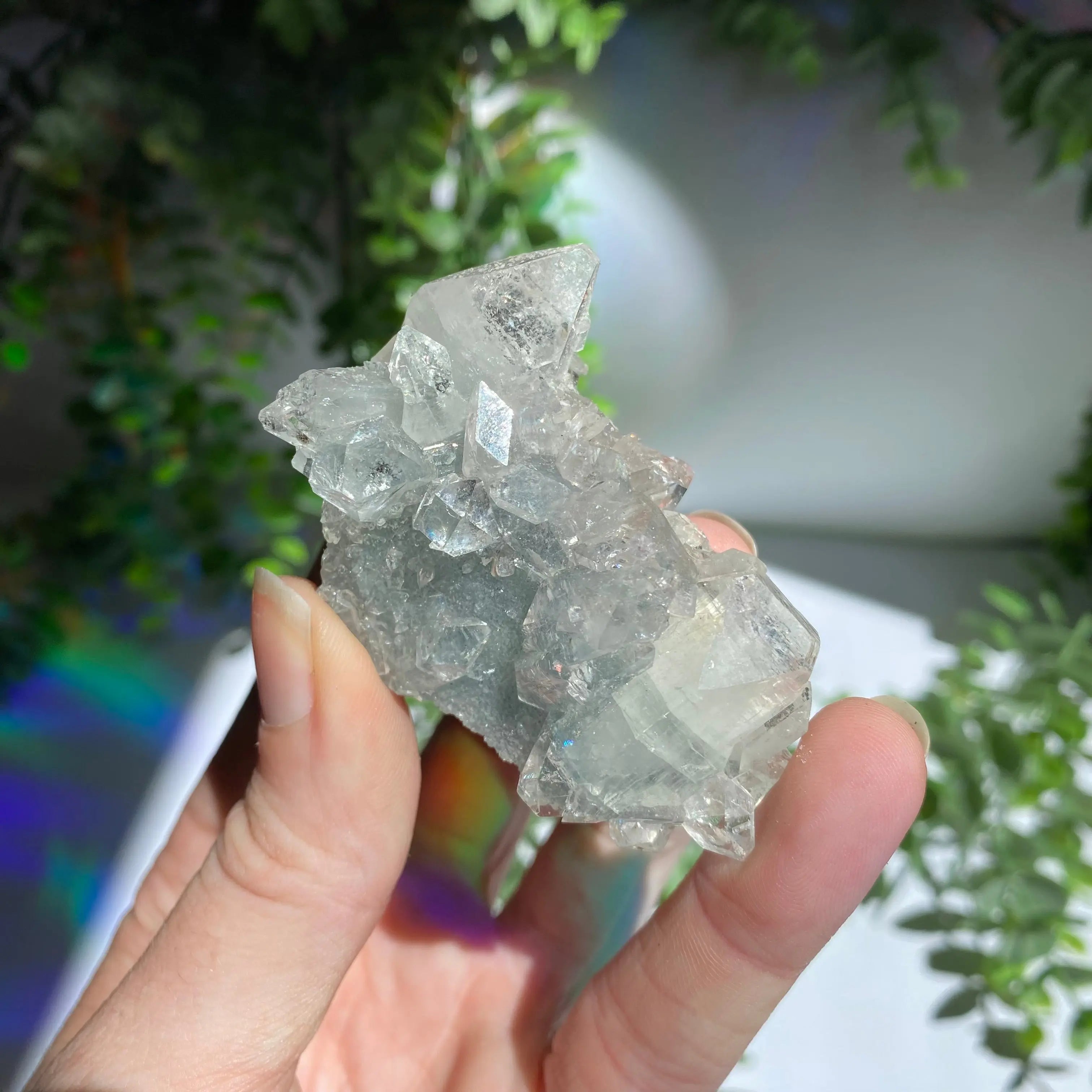 Zeolite Cluster Arabella Crystals