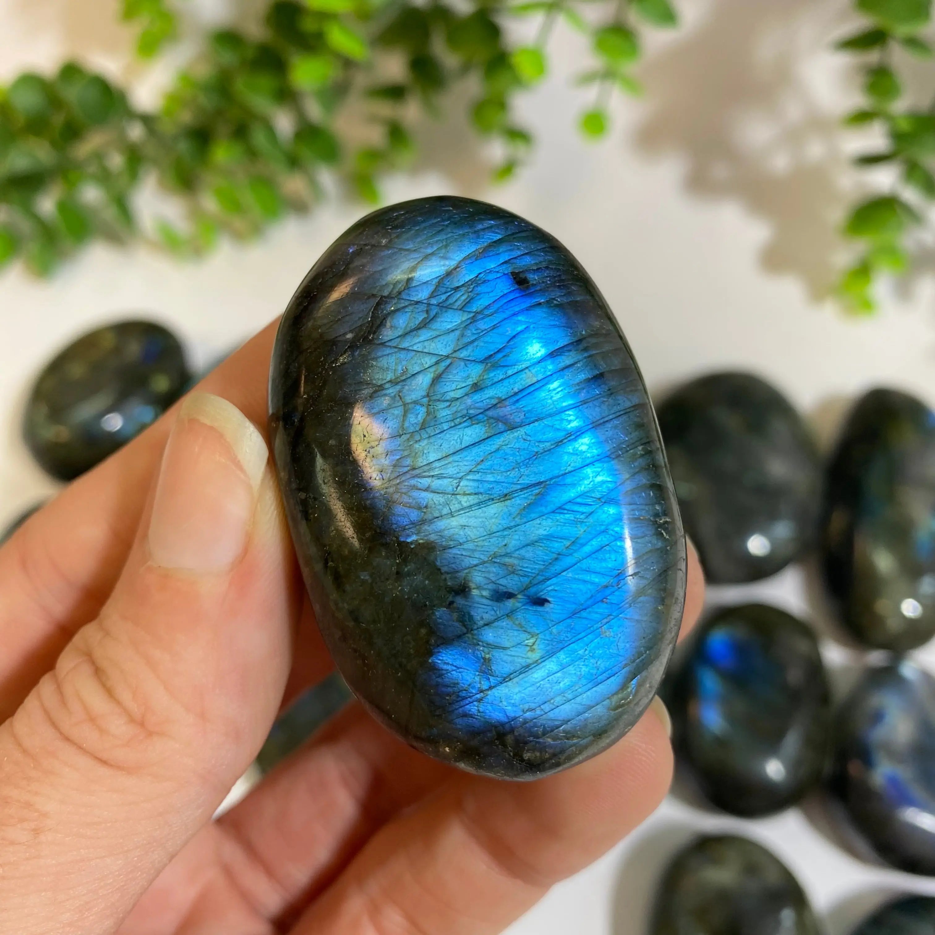 Labradorite Palm Stone Arabella Crystals