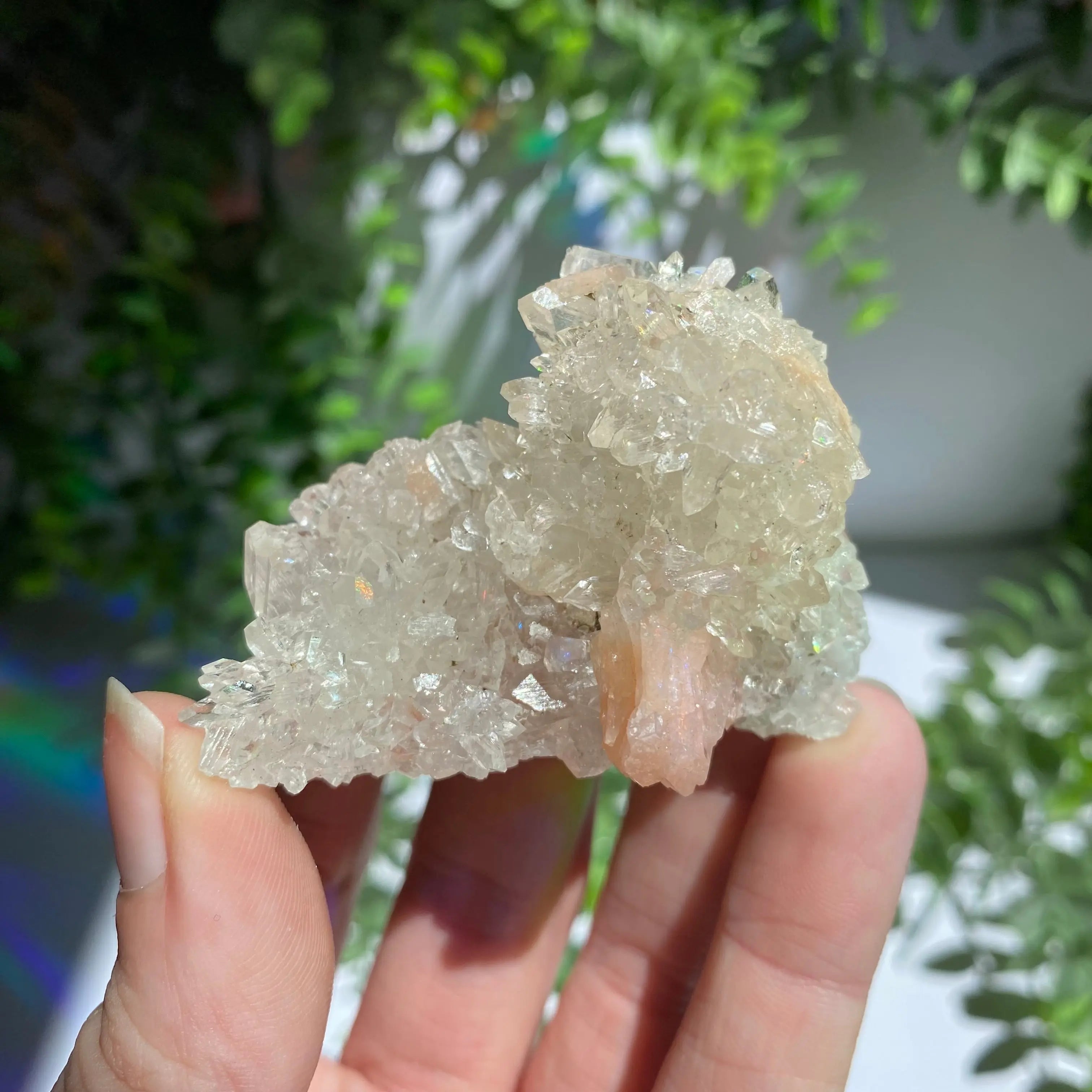 Zeolite Cluster Arabella Crystals