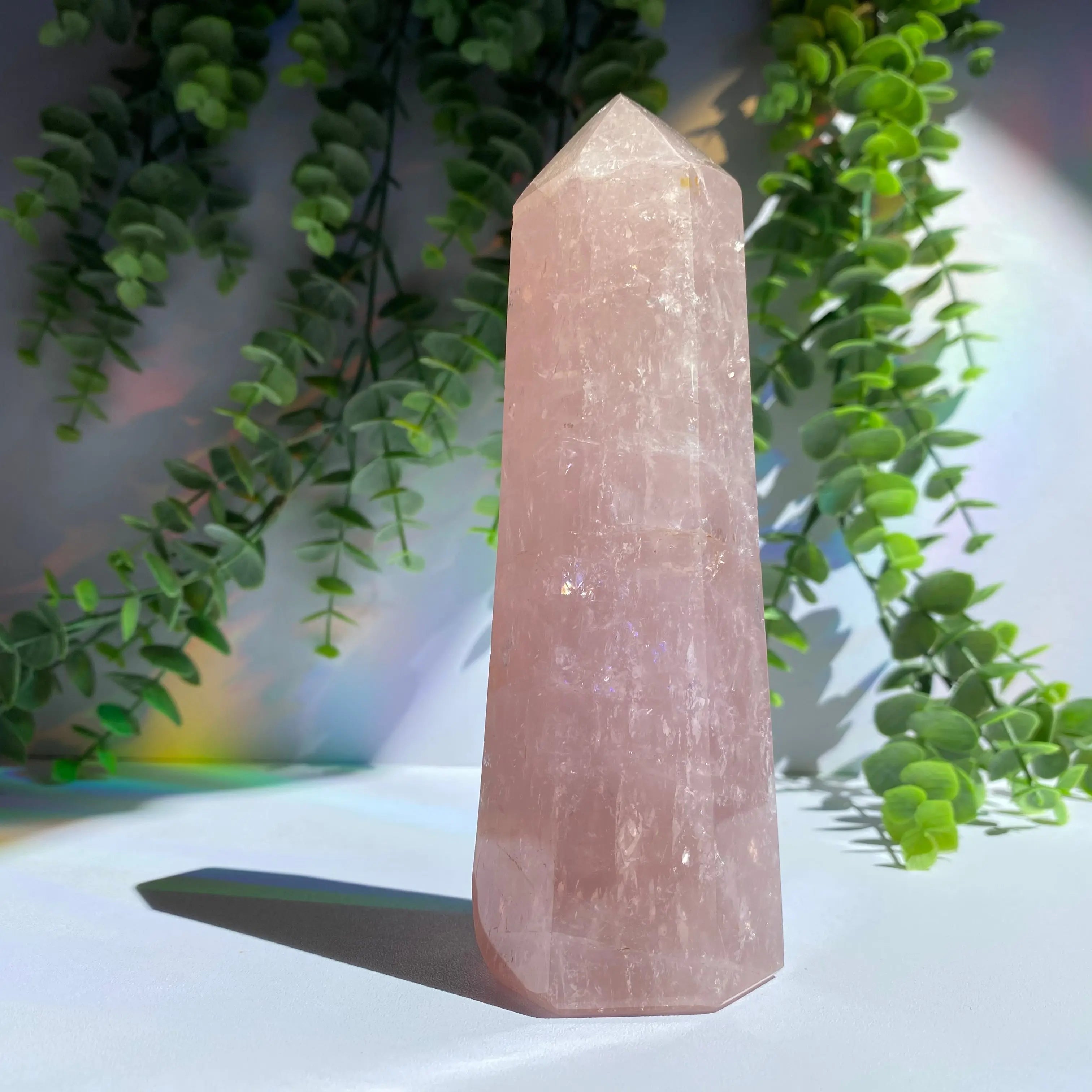 Rose Quartz Point Arabella Crystals