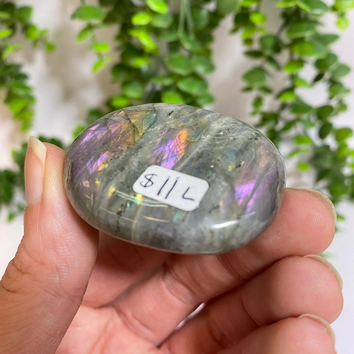 Purple Labradorite Palm Stone Arabella Crystals
