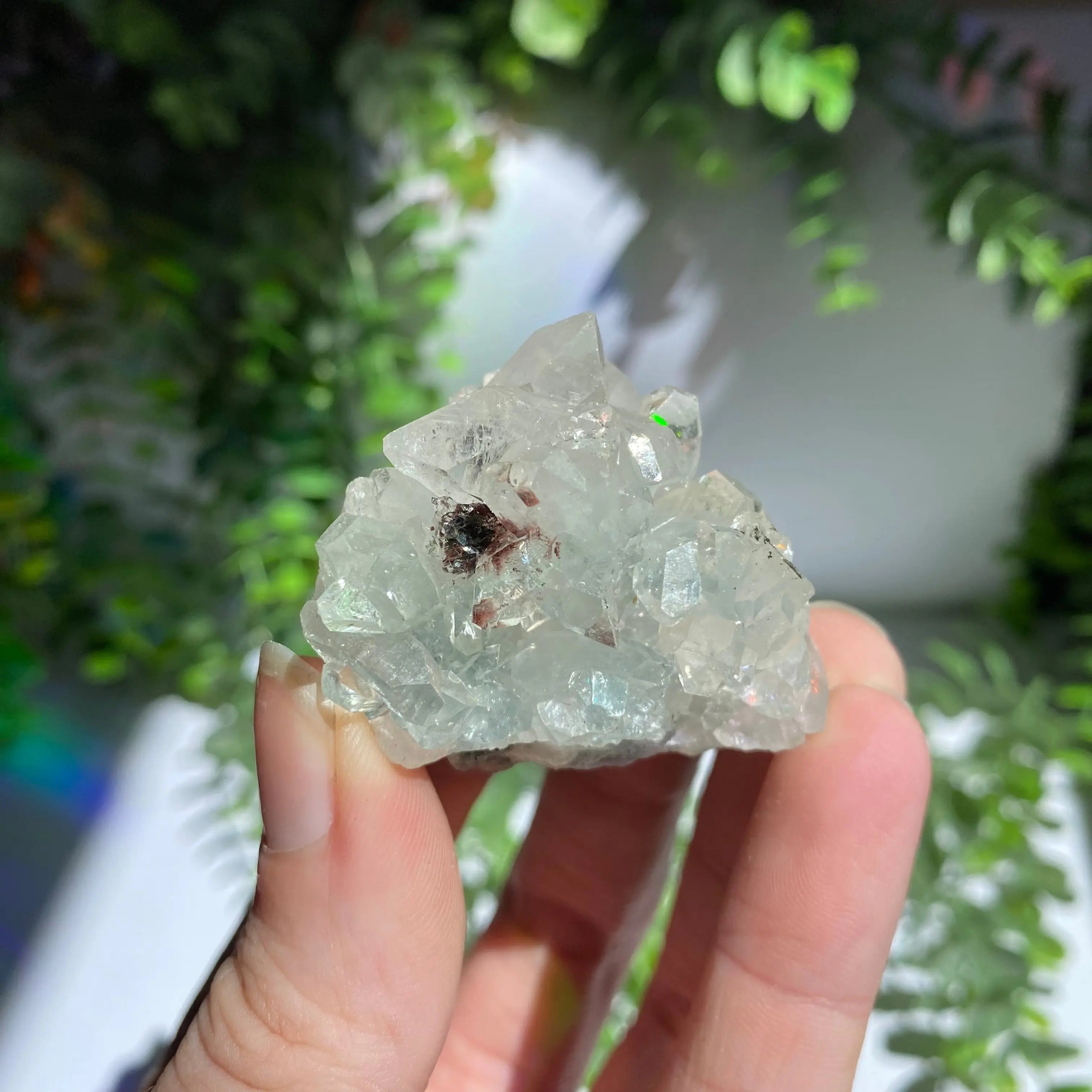 Zeolite Cluster Arabella Crystals