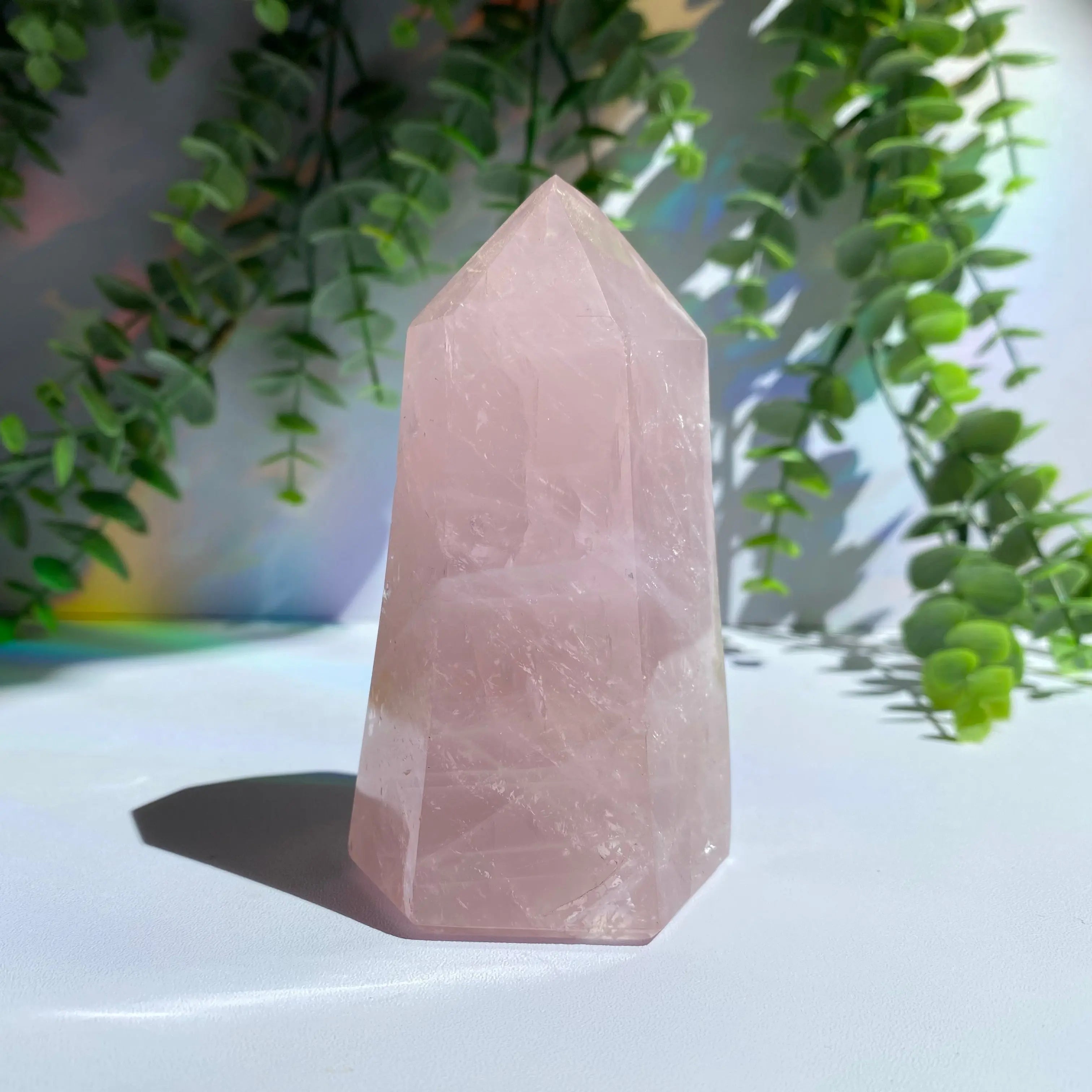Rose Quartz Point Arabella Crystals
