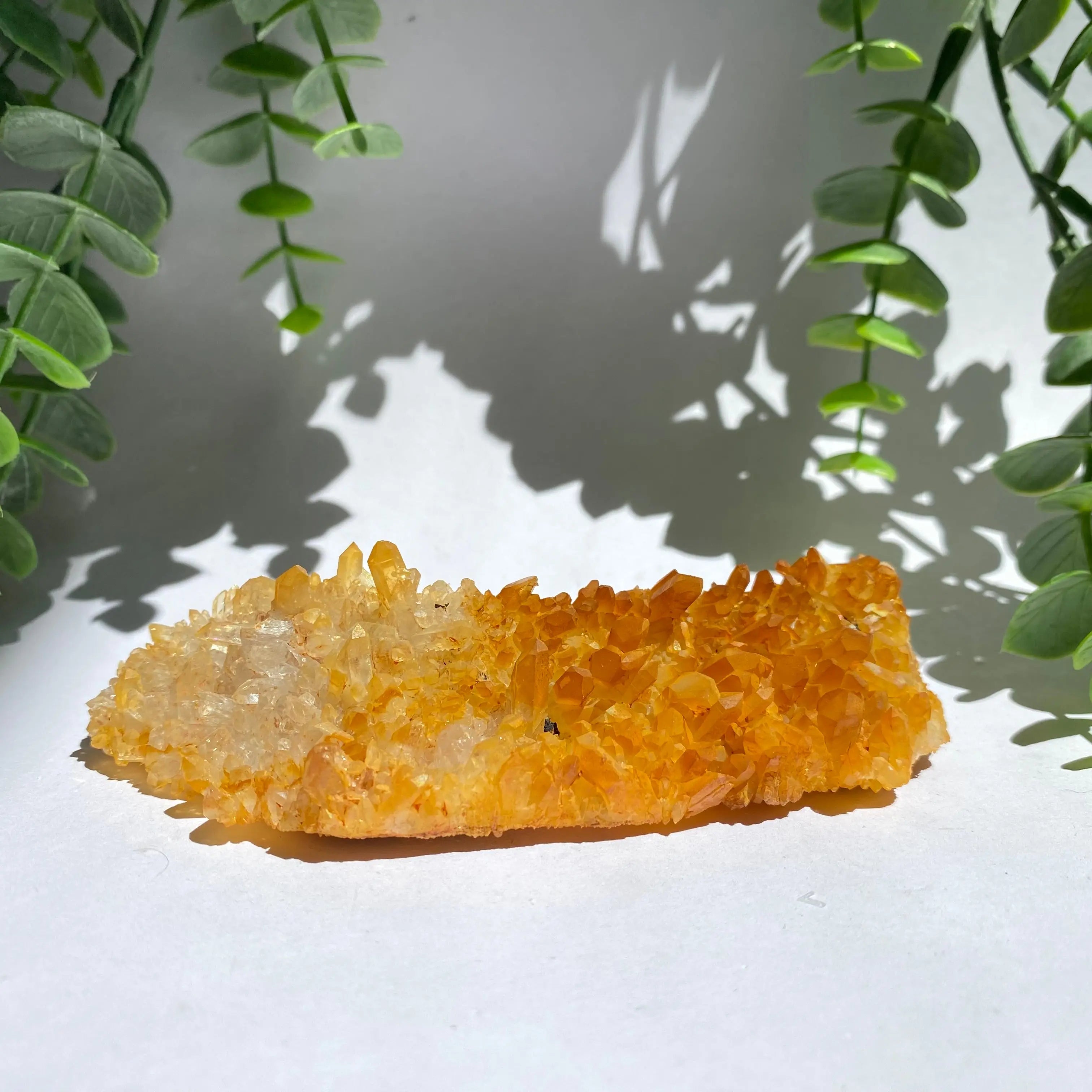 Golden Healer Cluster Arabella Crystals