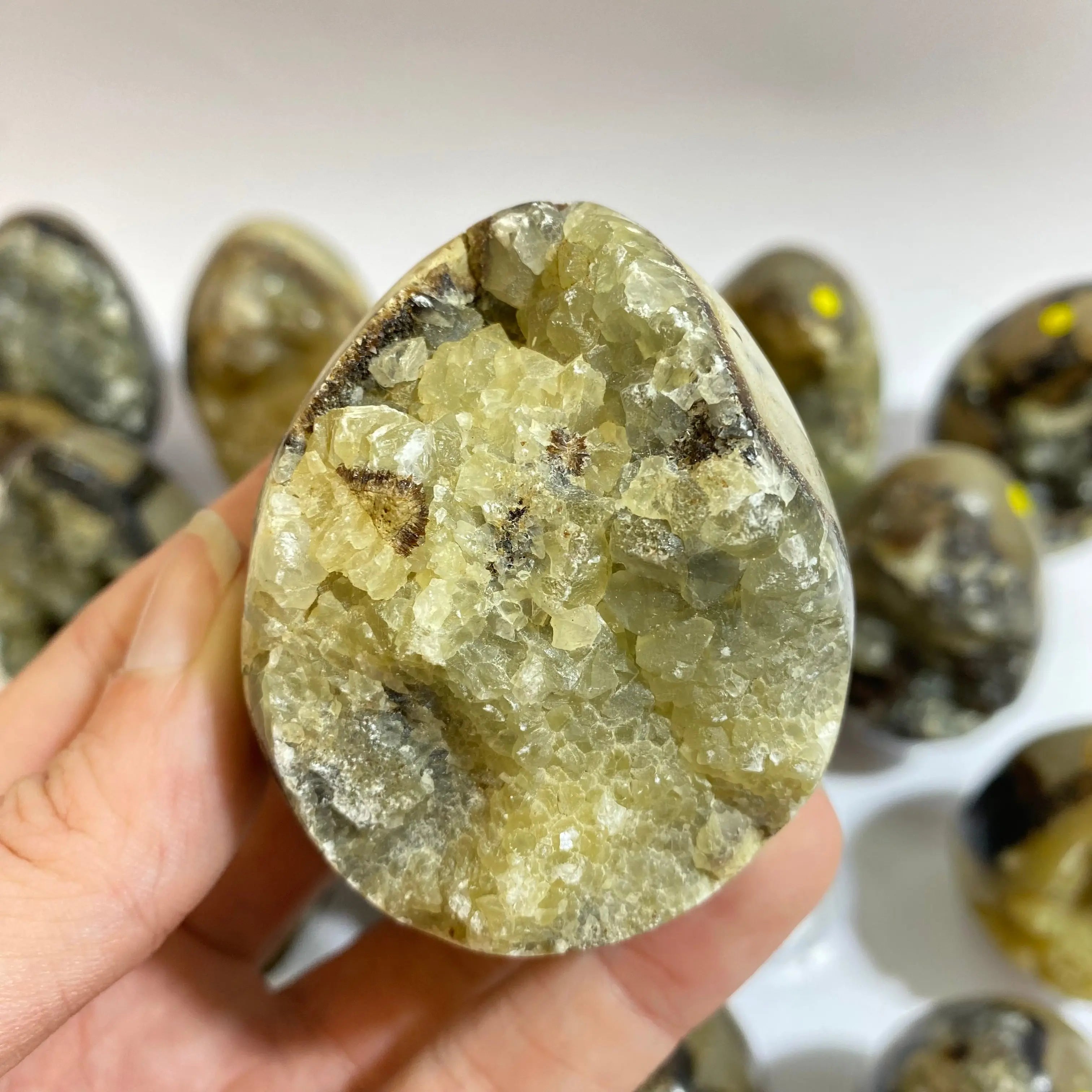 Septarian Agate Egg Arabella Crystals