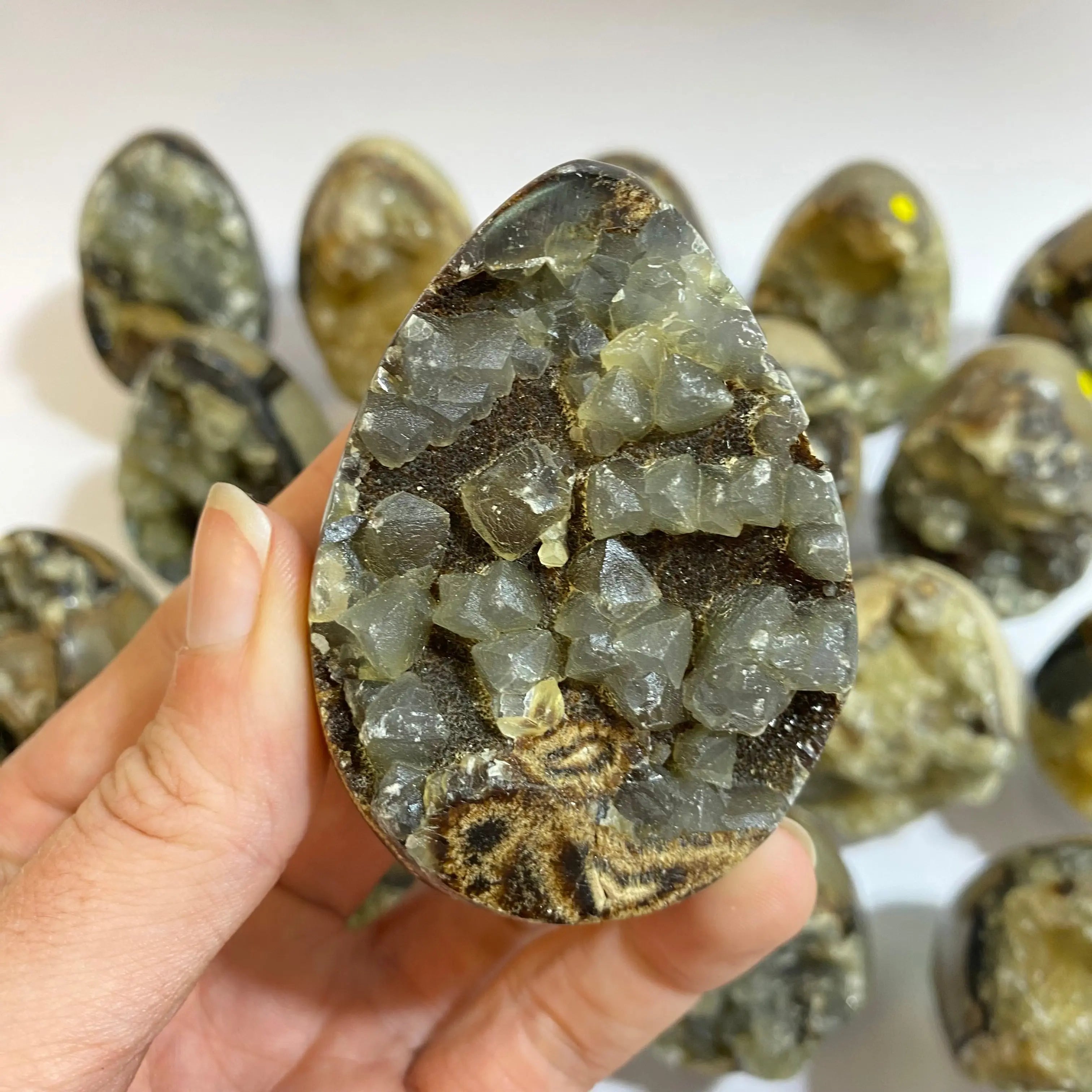 Septarian Agate Egg Arabella Crystals